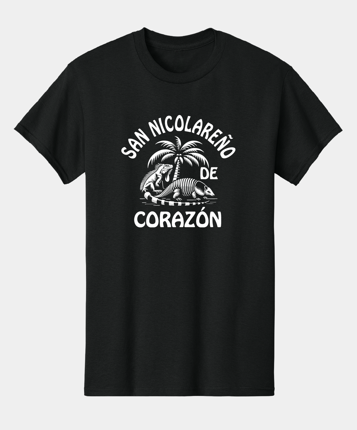 San Nicolareño