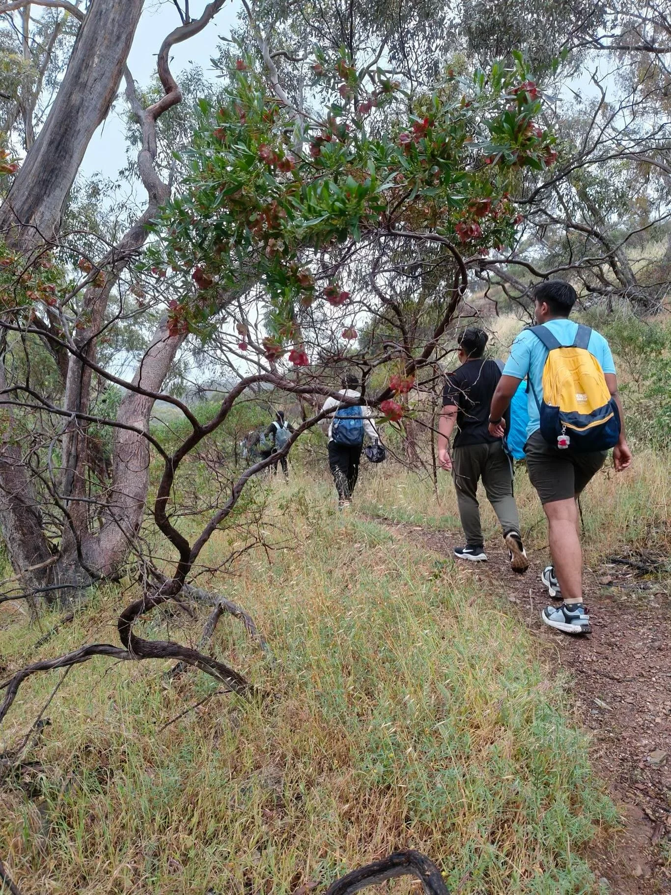 Steps, smiles, and sunshine 🌿
Our Shepherds Hill hike was the perfect mix of trails, laughter, and good company ☀️🥾
.
.
.
#MiTSA #HikeDay #ShepherdsHill #GoodVibesOnly