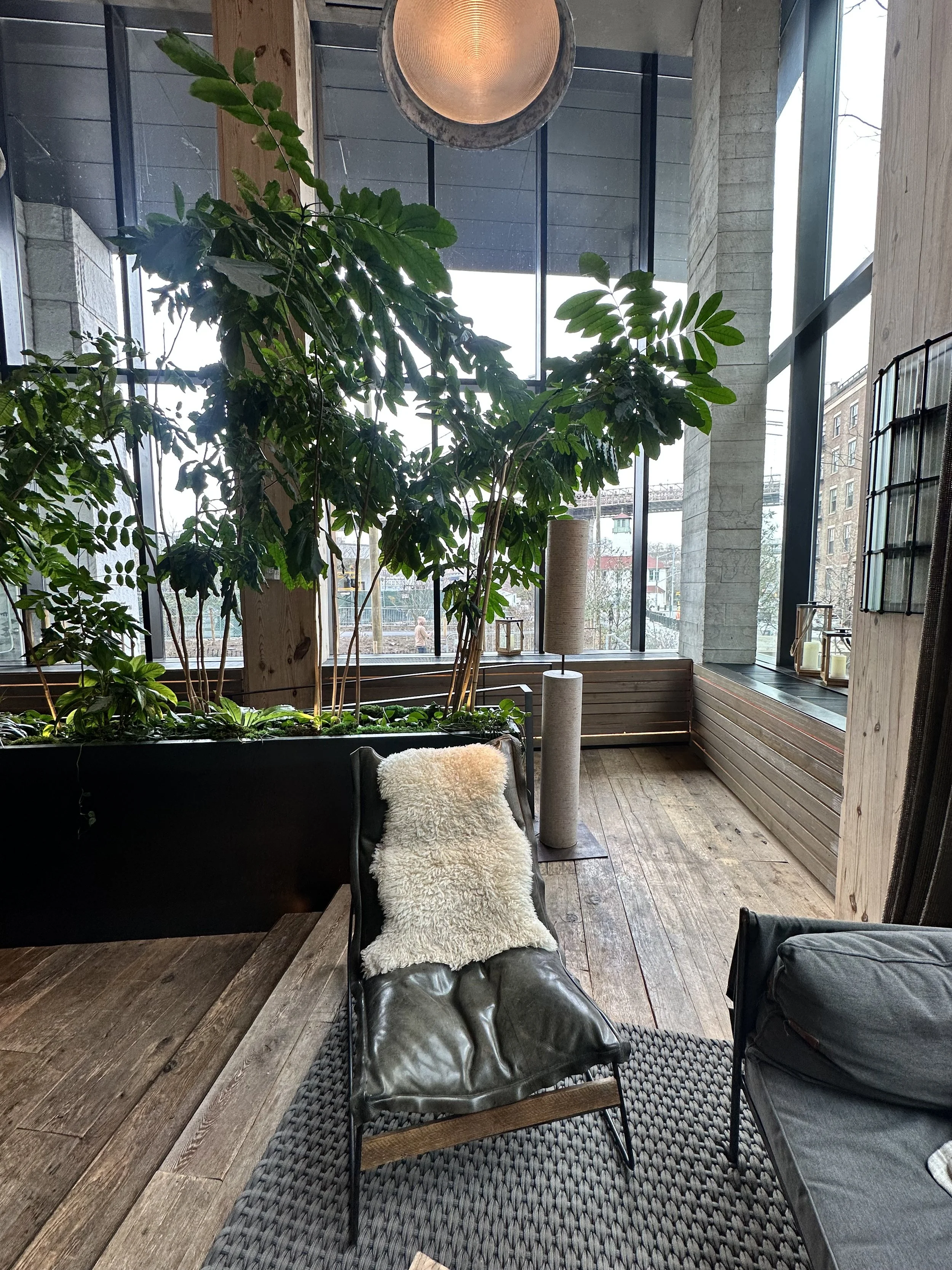 Modern indoor lounge with lush tropical plants, large windows, wood floors, a leather lounge chair, and a spherical pendant light