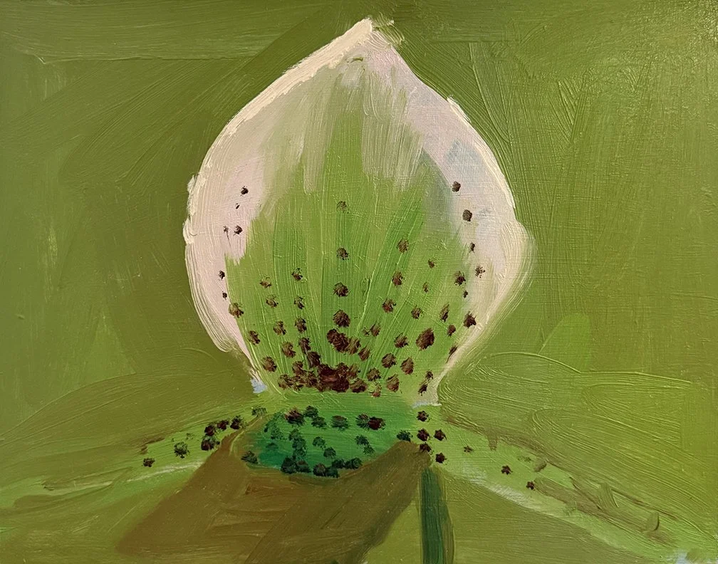 Orchid, 2025, Oil on masonite, 14 in × 11 in, 35.56 cm x 27.94 cm