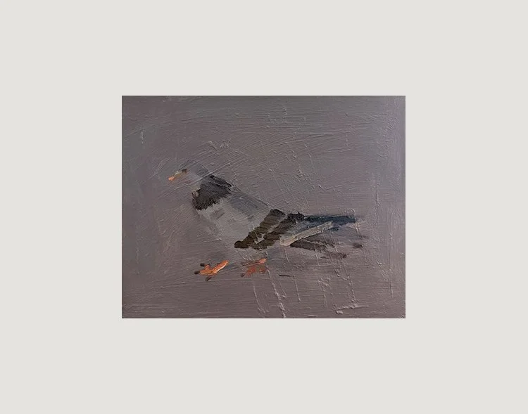 Pigeon, 2025, Oil on masonite, 14 in × 11 in, 35.56 cm x 27.94 cm