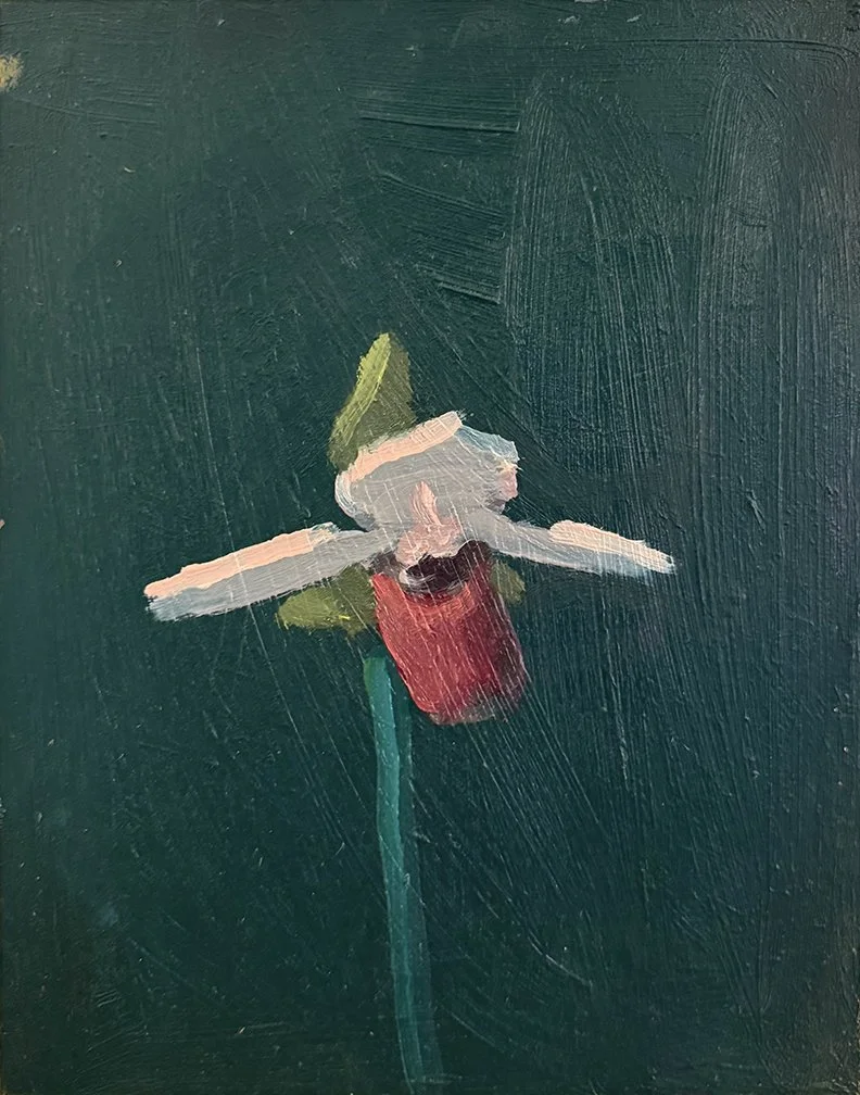 Lady Slipper (Dark Green), 2025, Oil on masonite, 11 in × 14 in, 27.94 cm x 35.56 cm