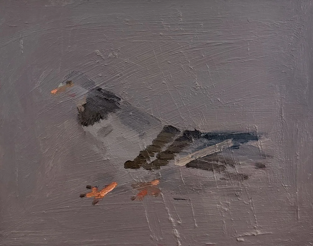 Pigeon, 2025, Oil on masonite, 14 in x 11 in, 35.56 cm × 27.94 cm