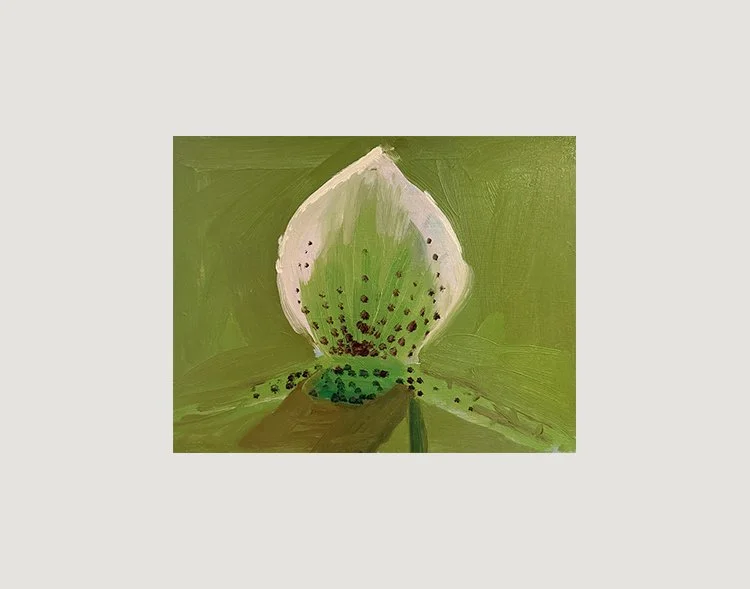 Orchid, 2025, Oil on masonite, 14 in × 11 in, 35.56 cm x 27.94 cm