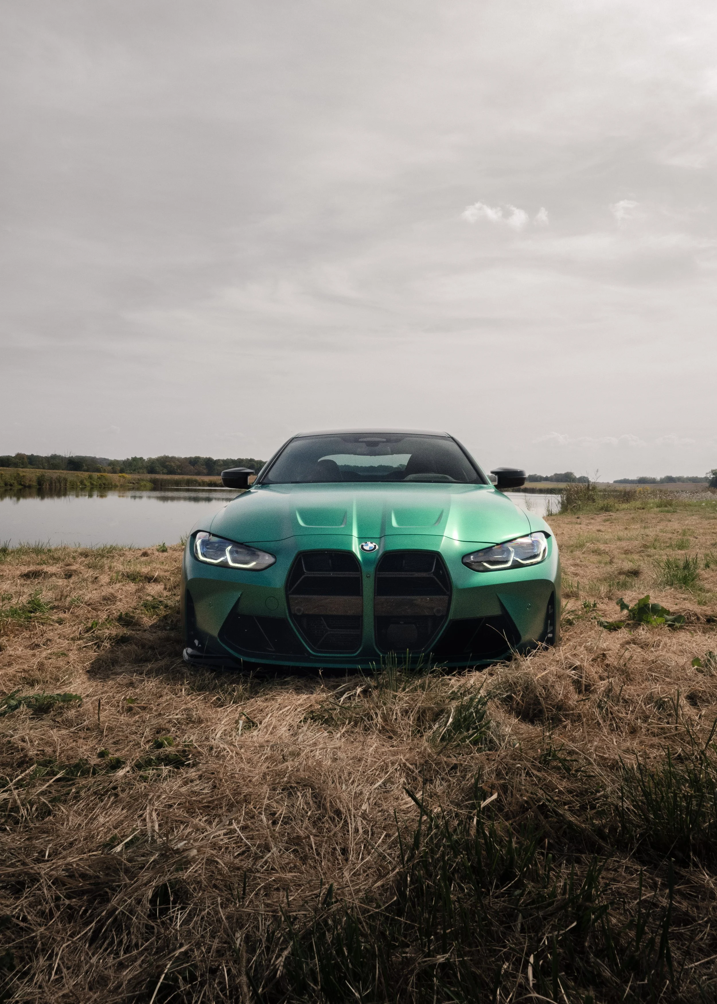 A green sports car is parked on dry grass near a body of water under a cloudy sky.