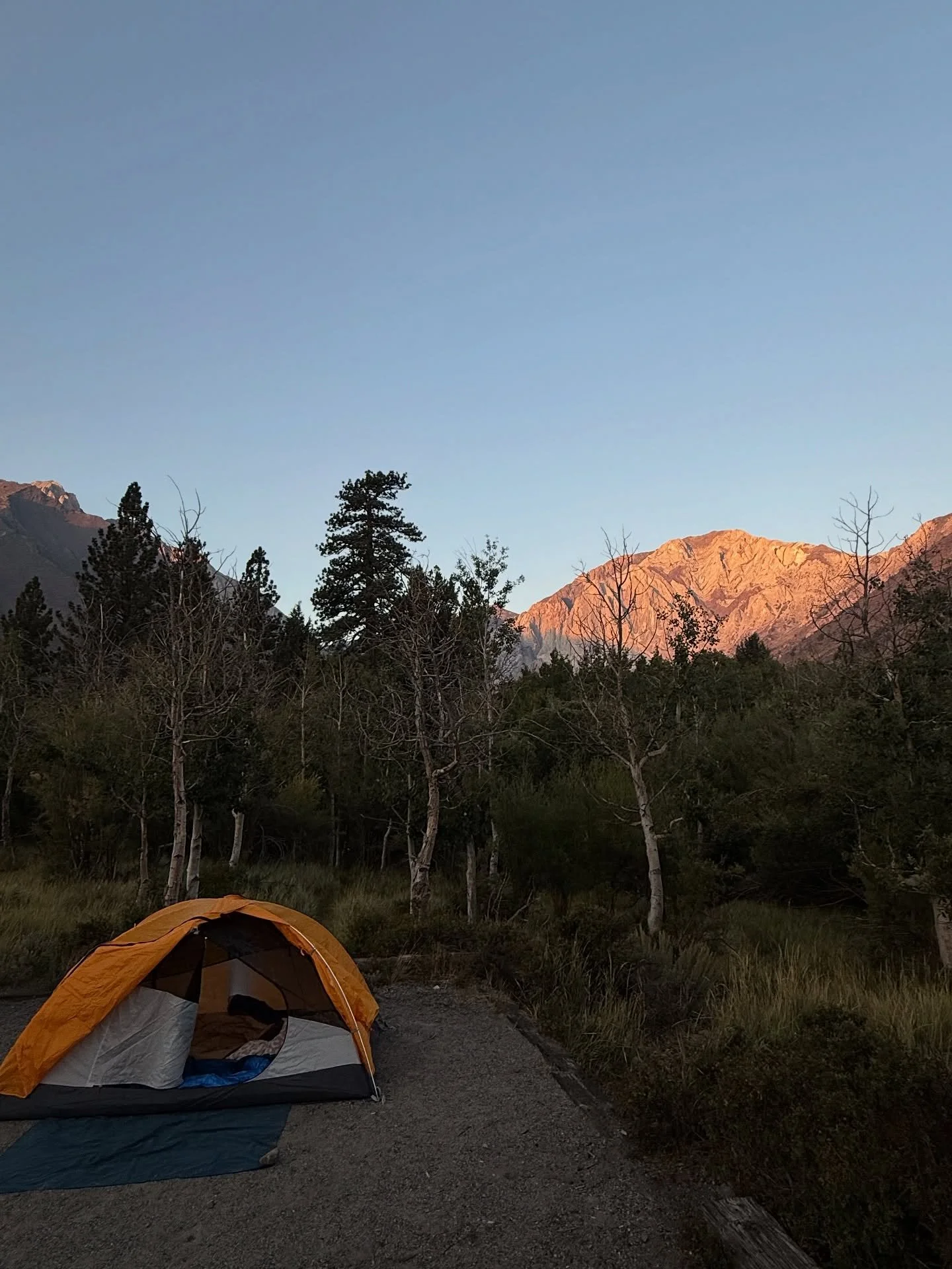 hags!!! (had a great summer :,) )