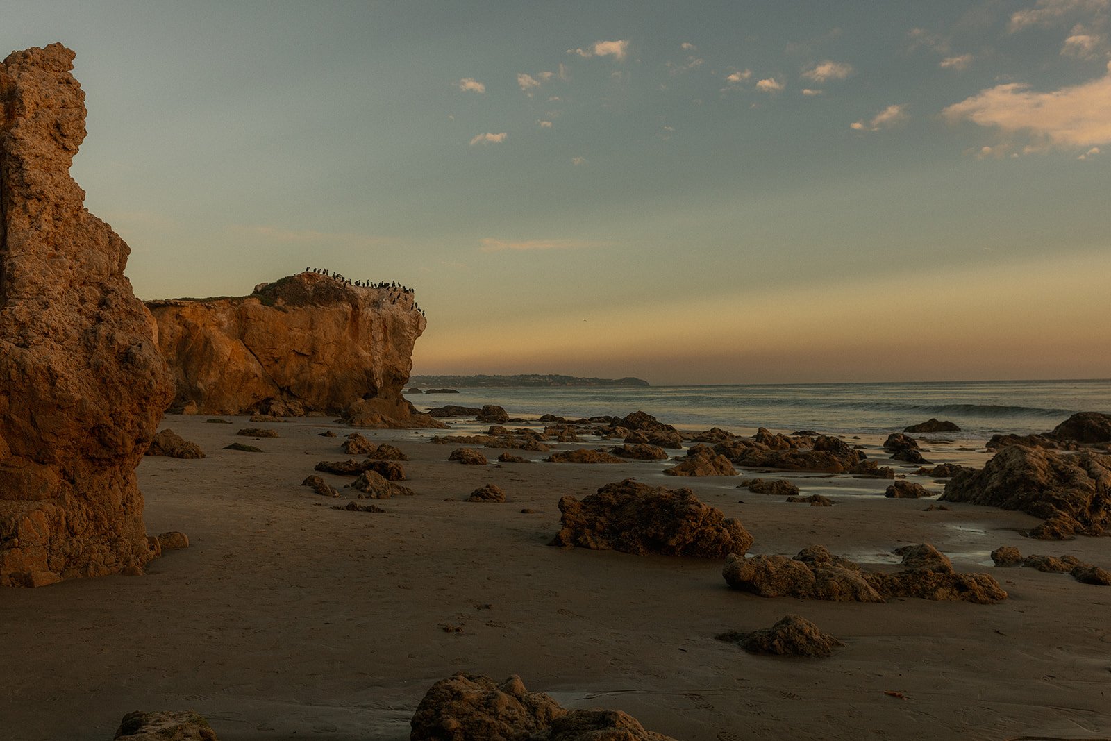 Vanessa & Francis4-59_websize.jpg