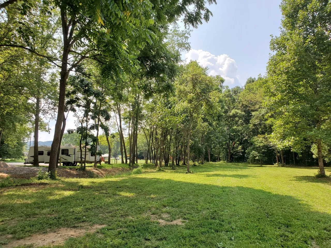 A grassy clearing surrounded by trees with a camper trailer parked on the left side.