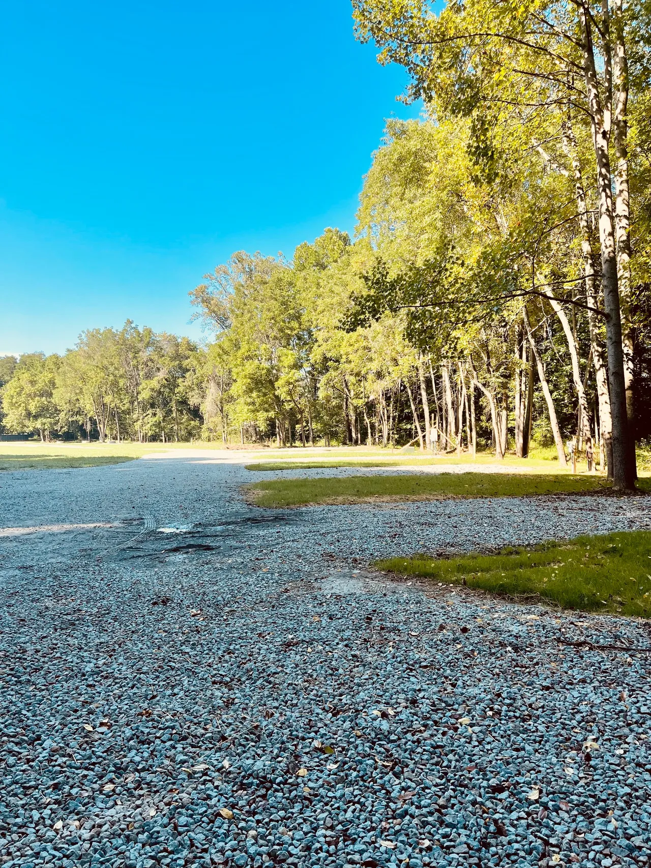 A gravel path curves through a park with grass and tall green trees under a clear blue sky.