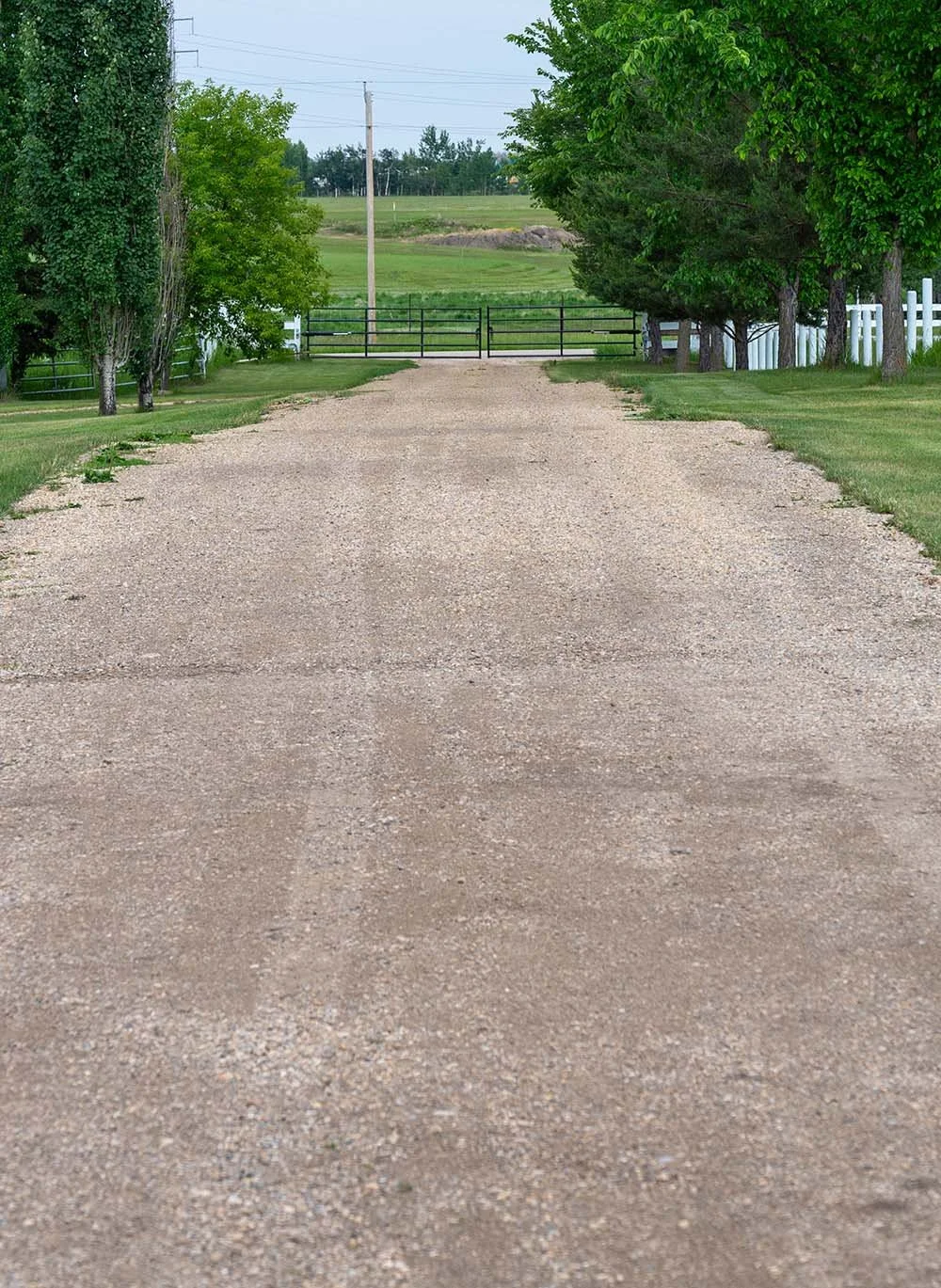 Driveway.jpg