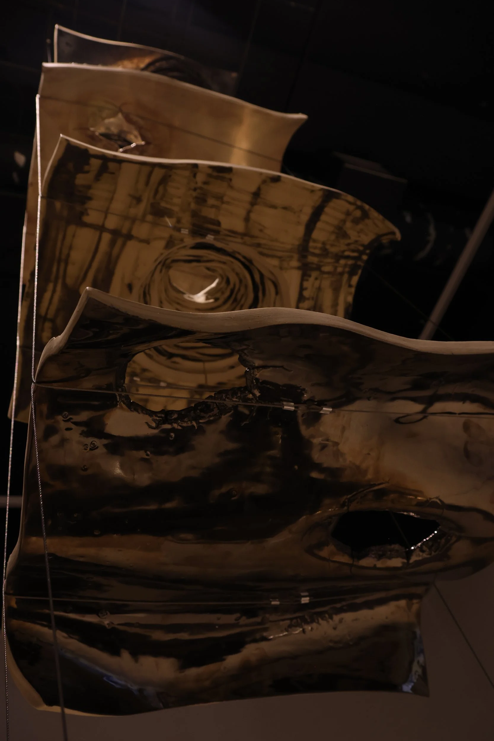 2F0A6499.png