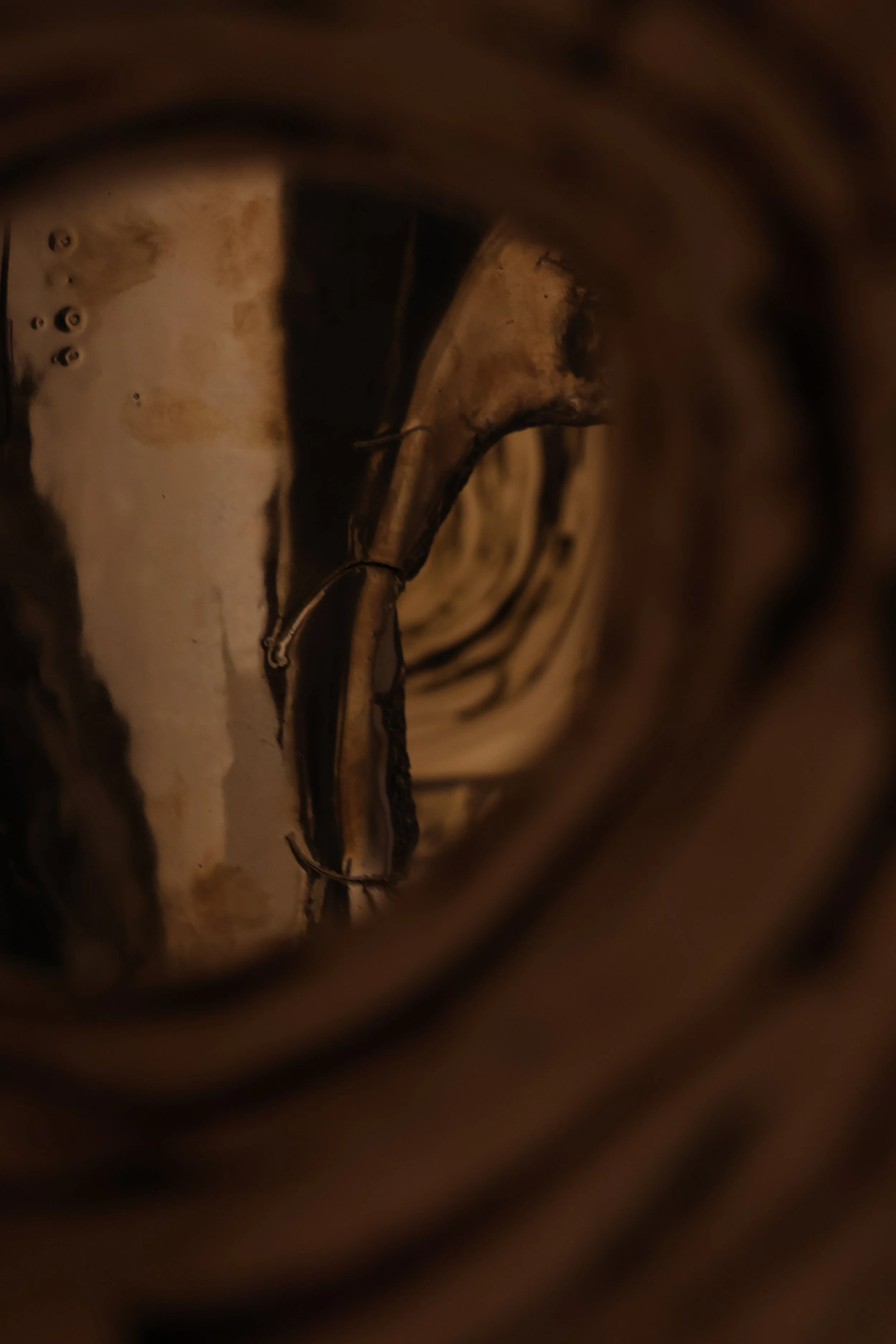2F0A6509.JPG