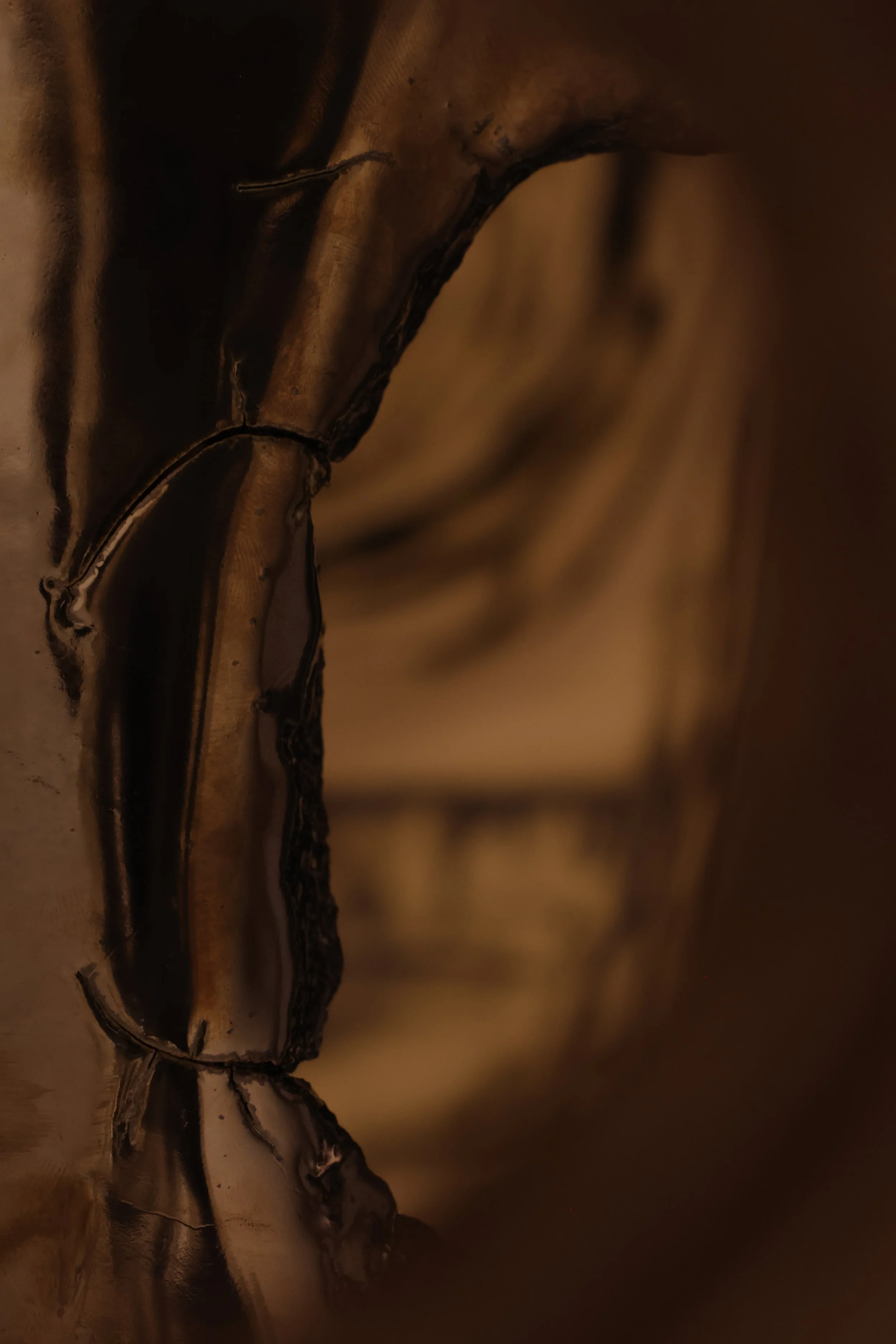2F0A6508.JPG