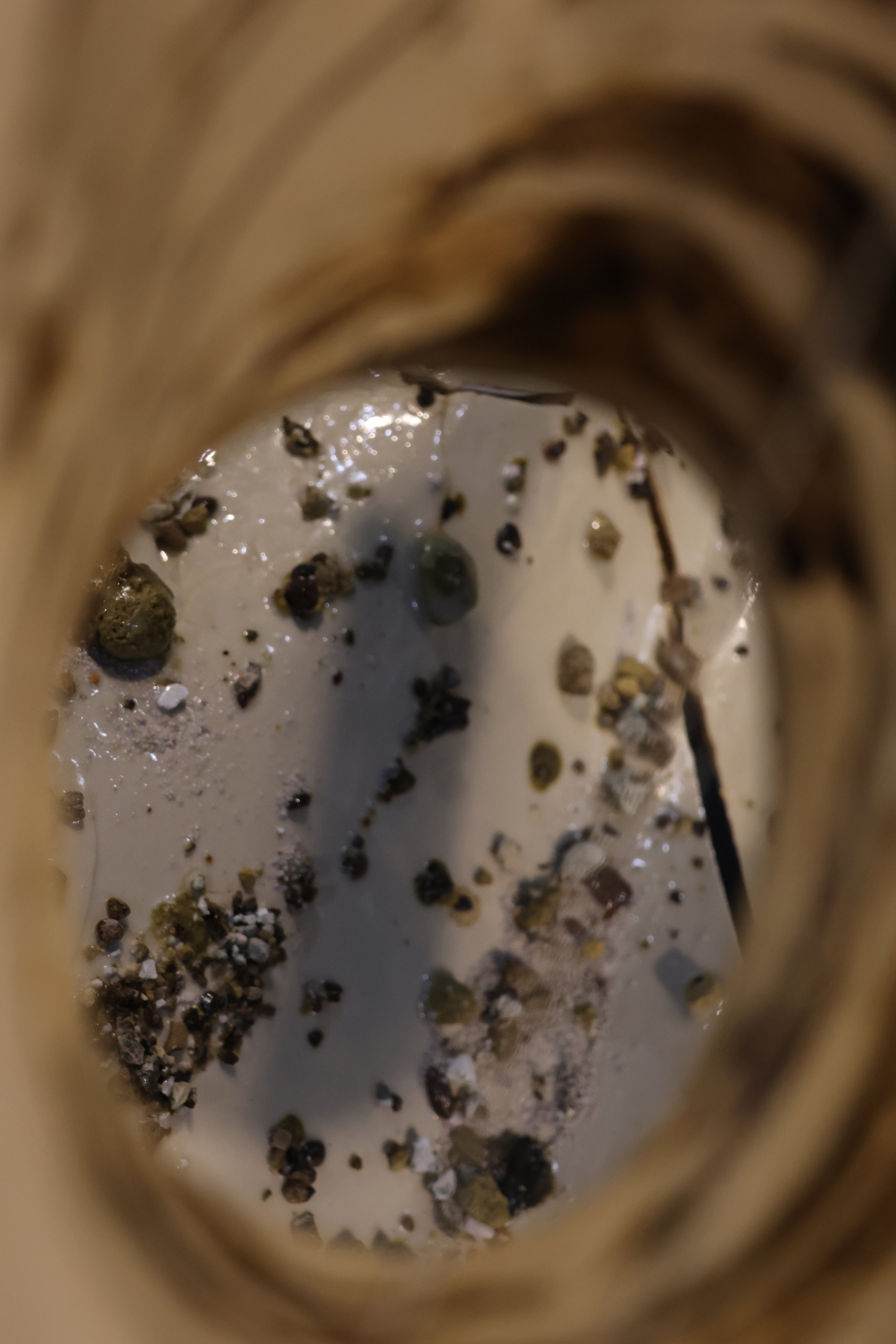 2F0A6403.JPG