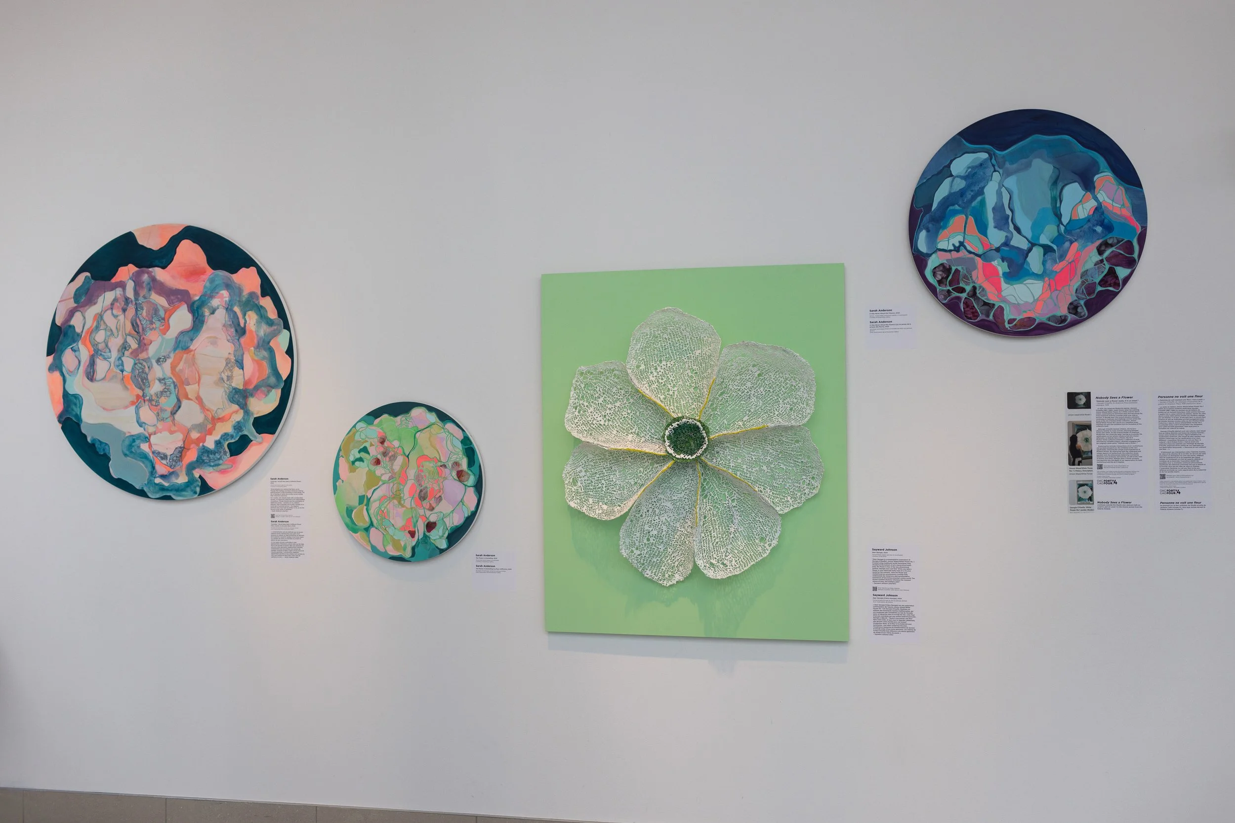 Installation view of the Ottawa Art Gallery exhibition