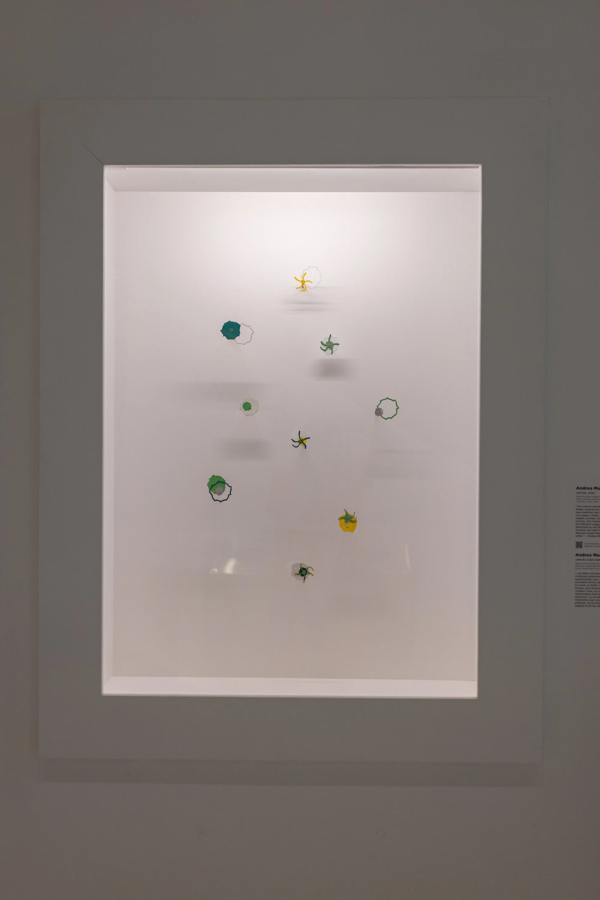 A glass vitrine containing colourful metal jewelry made by Andrea Mueller