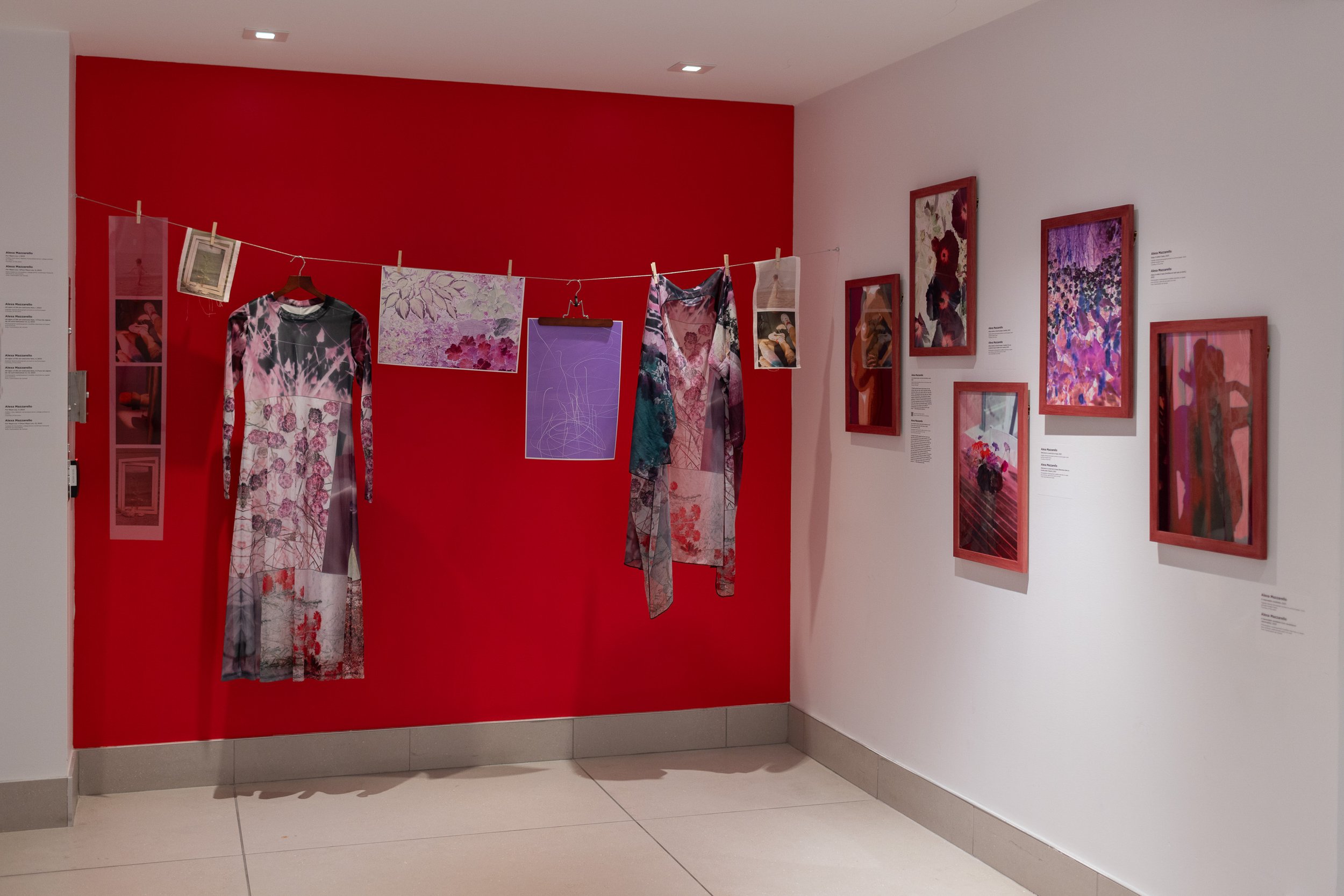 Installation view of the exhibition