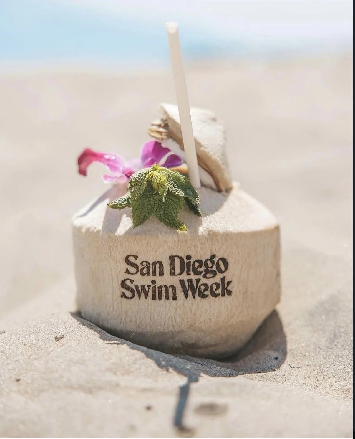A wooden sign on the sand reads 'San Diego Swim Week.' The sign has seashells, a small pink flower, a green leaf, and a white bucket-style candle or decoration, with a straw stick protruding from it.