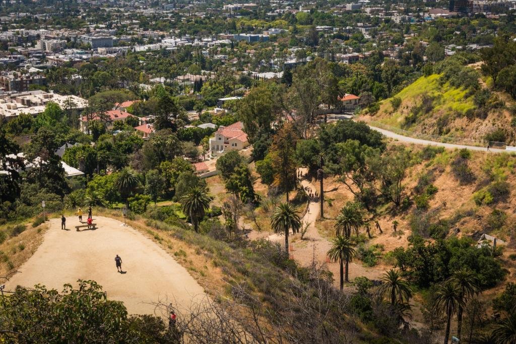 Top Dog-Friendly Hikes in Los Angeles