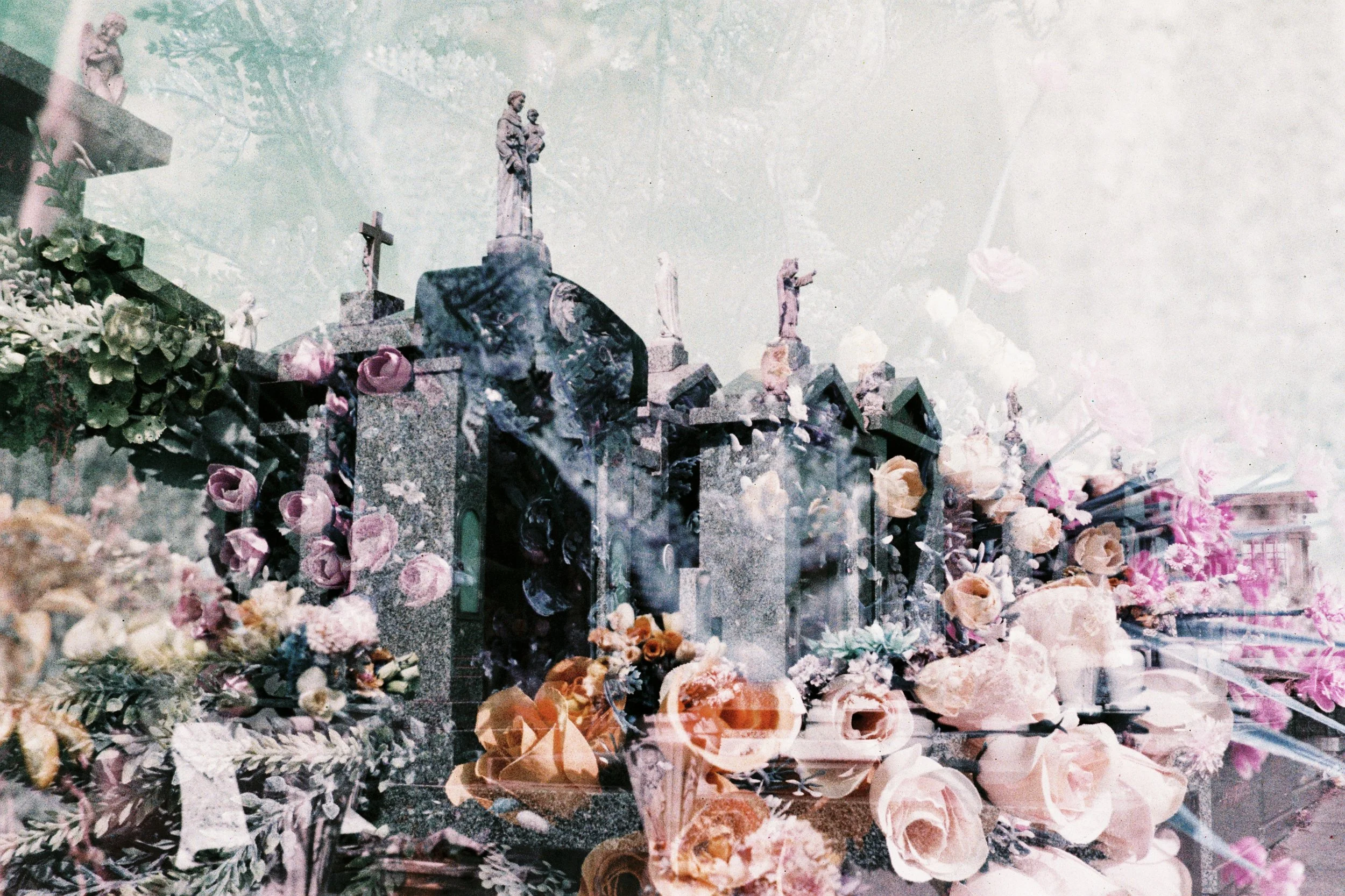 A graveyard scene with numerous tombstones and sculptures of saints and angels, surrounded by an abundance of flowers in various colors.
