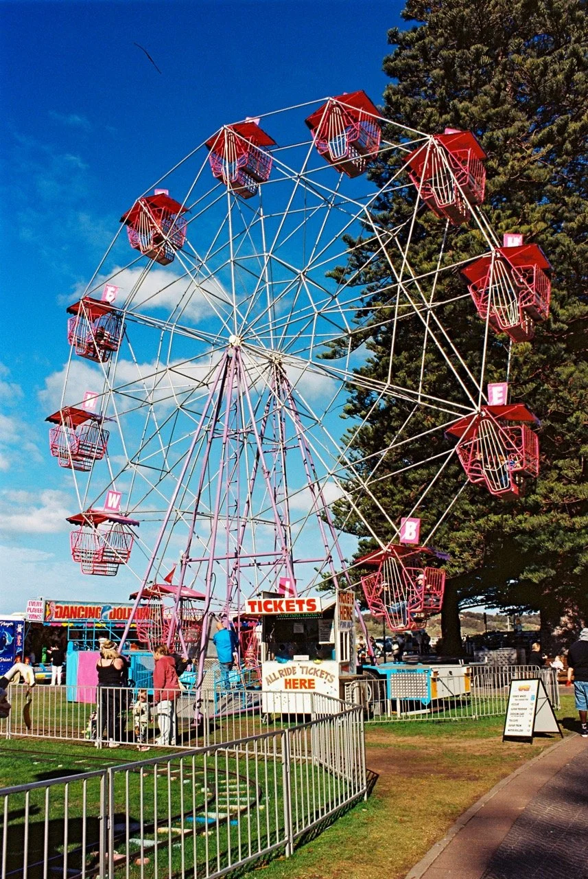 A large red and pink Ferris wheel with multiple gondolas, located at an outdoor carnival on a sunny day next to a large green tree. 35mm film photography. Kodak Ektar 100. Fujifilm Frontier SP-3000 high-resolution scan. Professional mail-in film proc