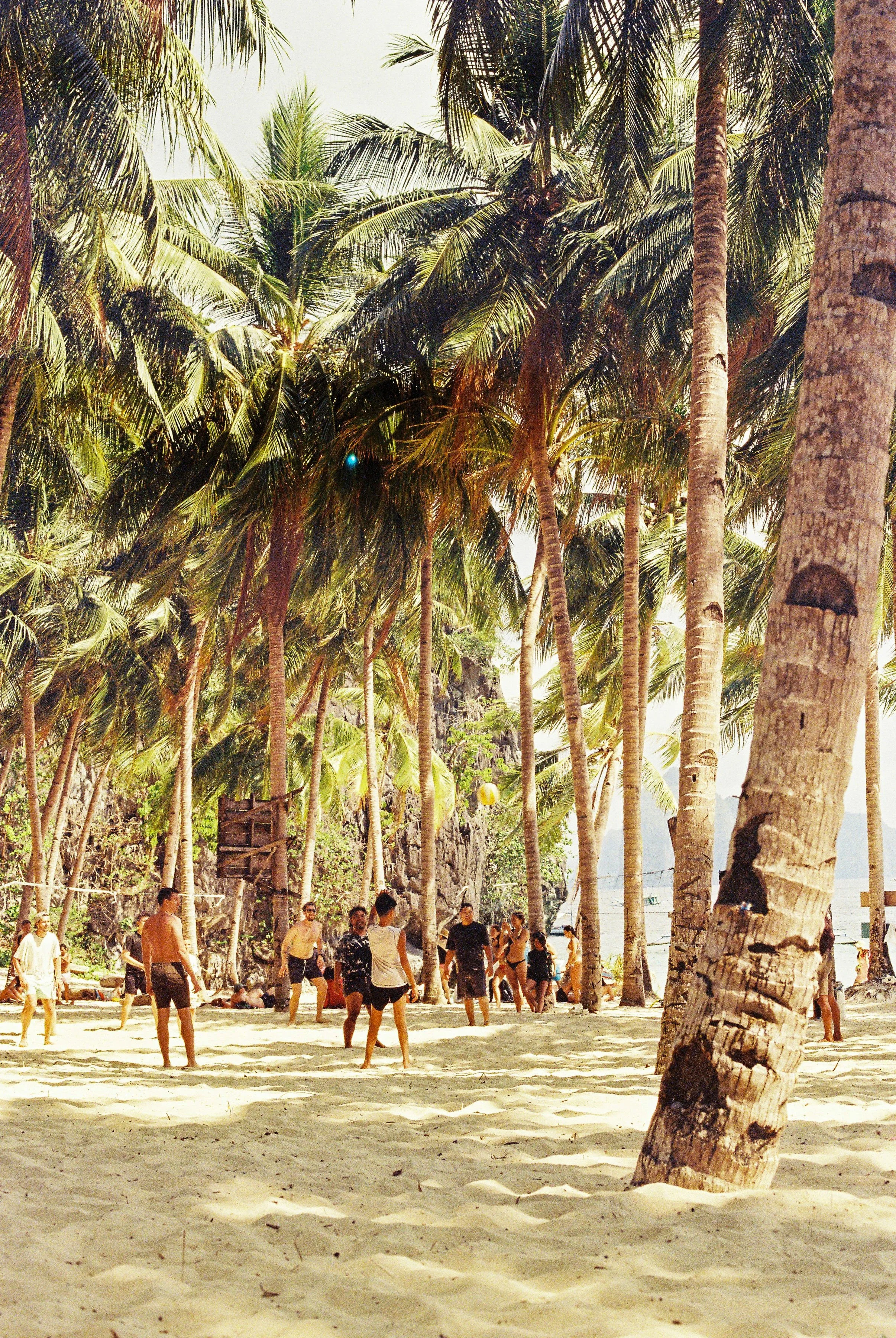 People enjoying a day at a tropical beach with tall palm trees, a sandy shore, and a rocky backdrop. 35mm film photography. Kodak Ultramax 400. Fujifilm Frontier SP-3000 high-resolution scan. Professional mail-in film processing in Australia. 