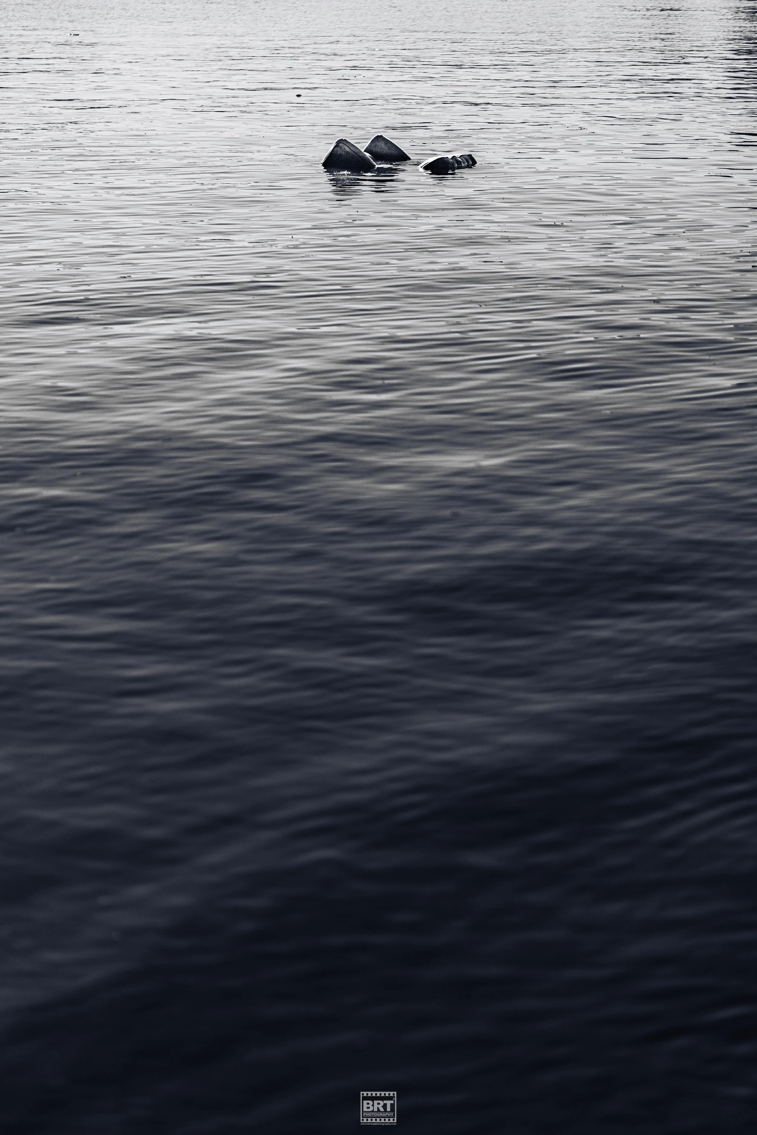 665A6389.jpg