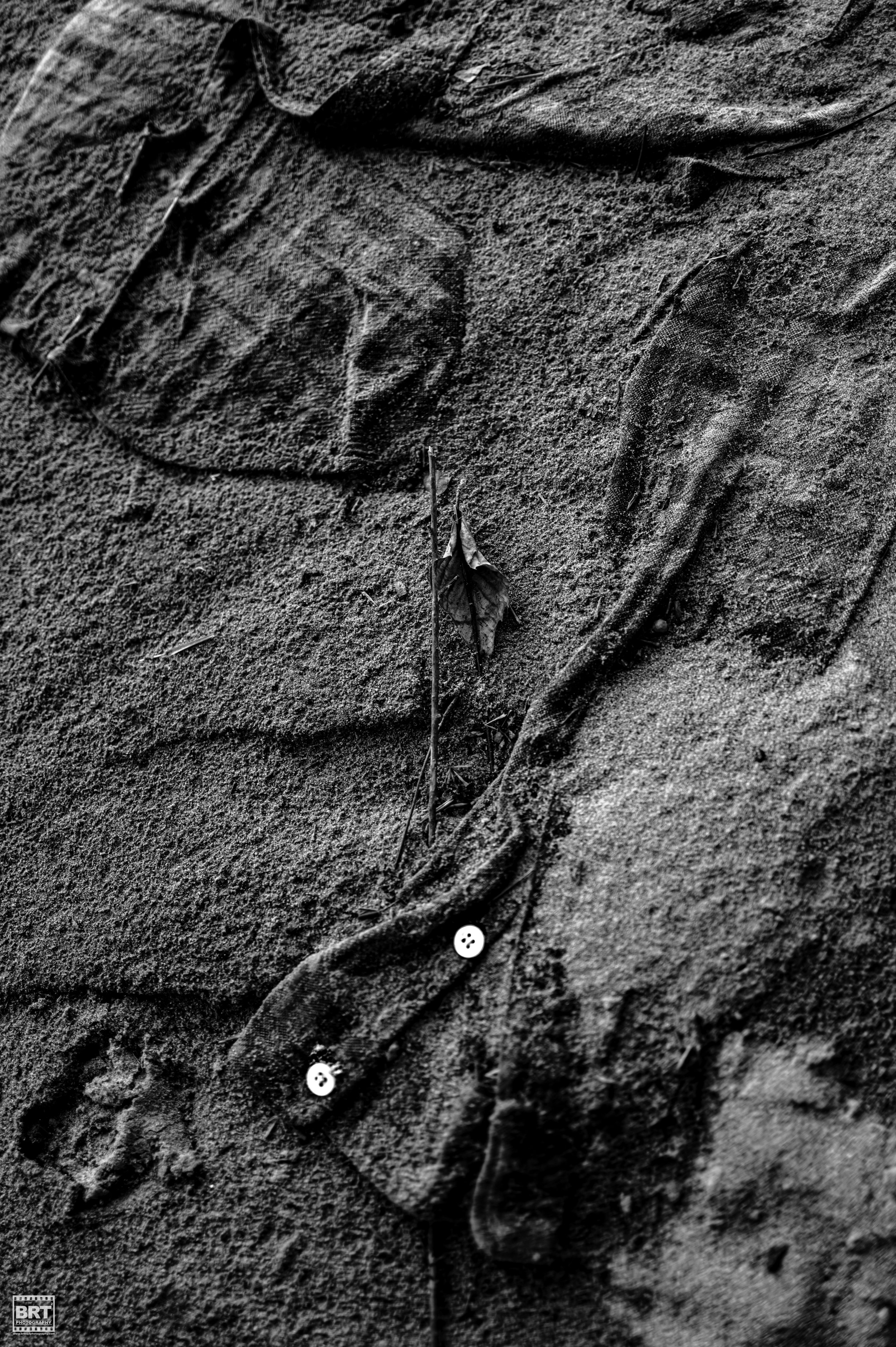 L1001614.jpg