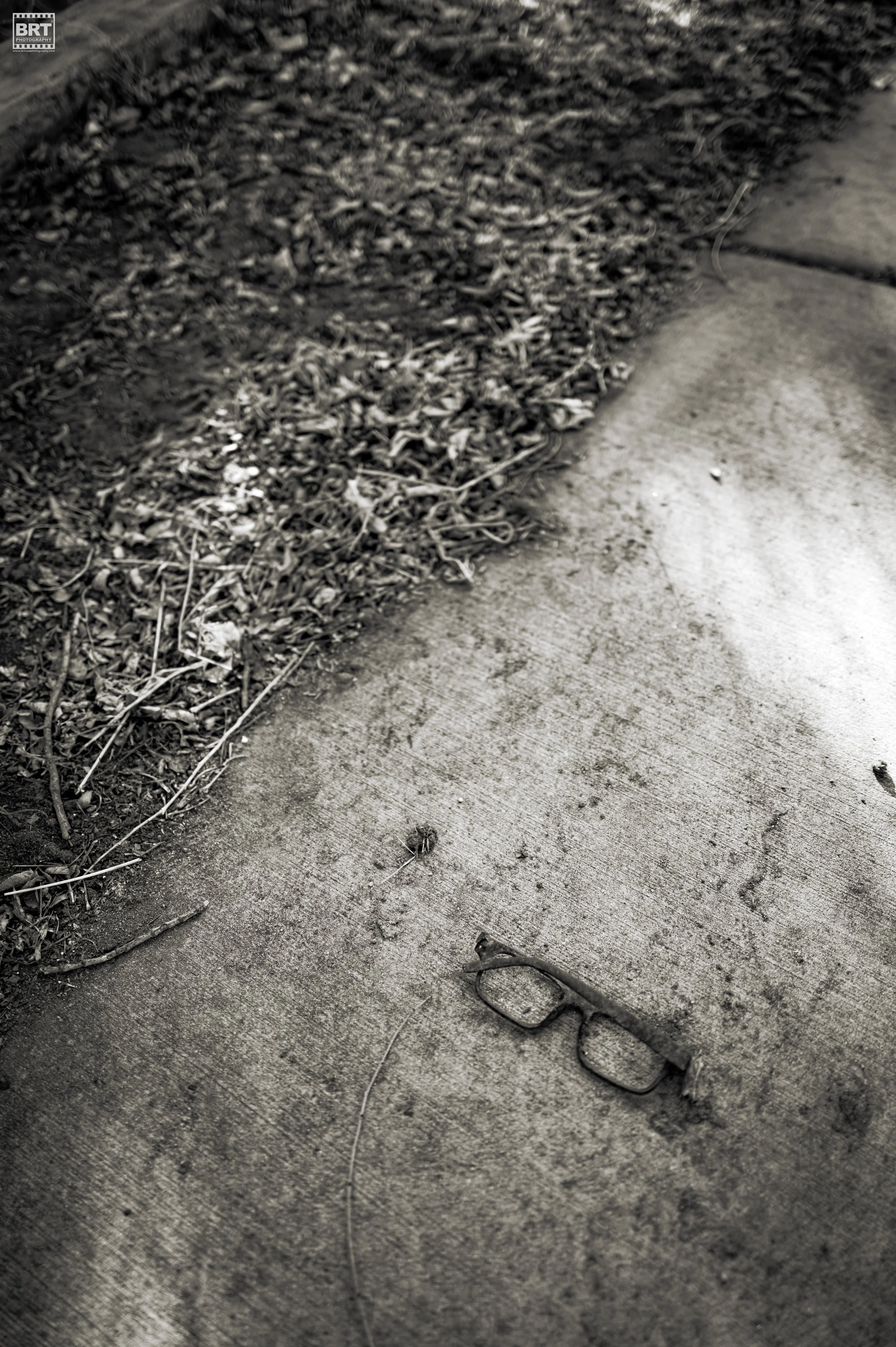 A pair of eyeglasses on a concrete sidewalk next to a patch of dirt and dried leaves.