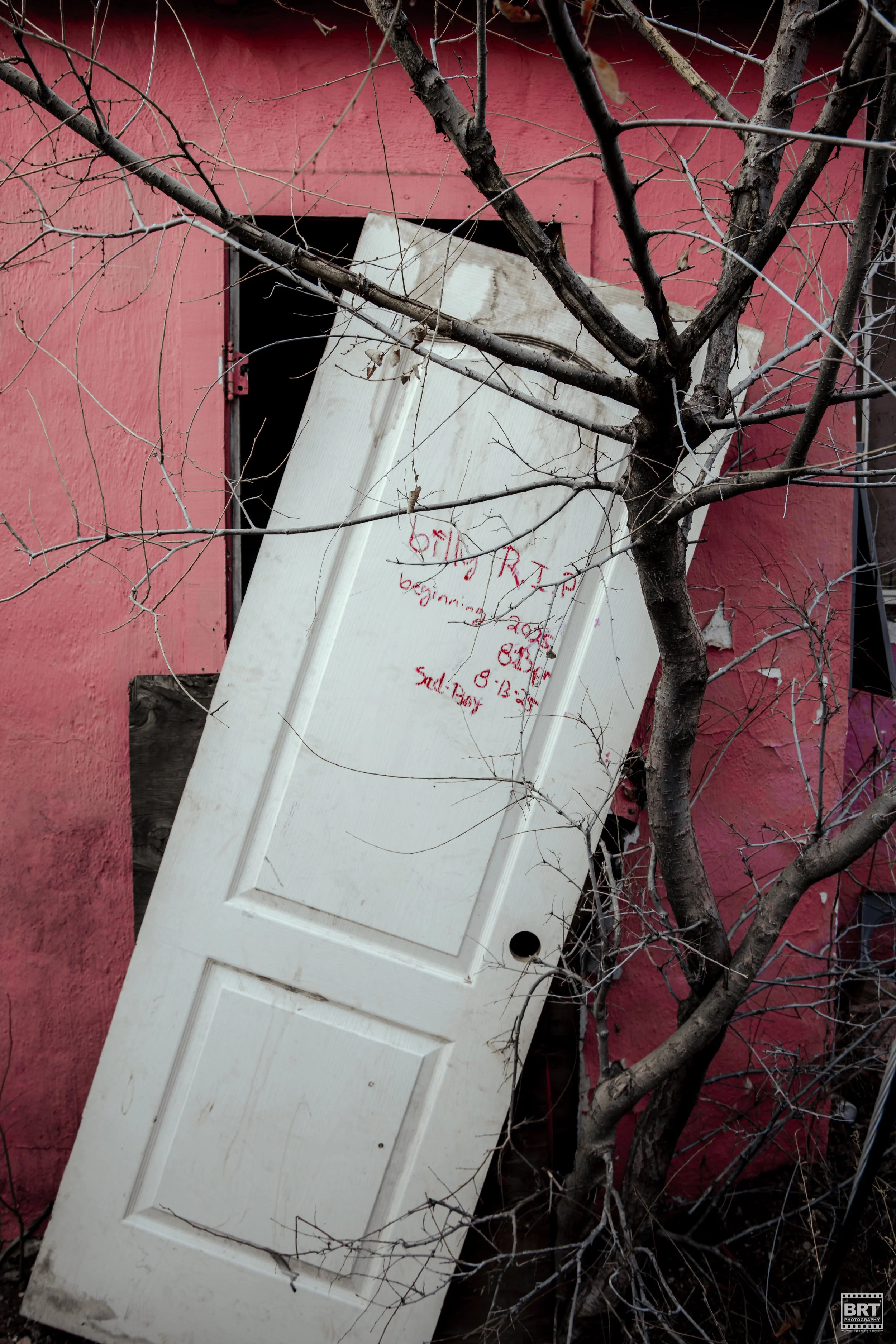 A discarded white door leaning against a pink wall, with a tree in front of it. Red writing on the door mentions a beginning date, time, and some initials.