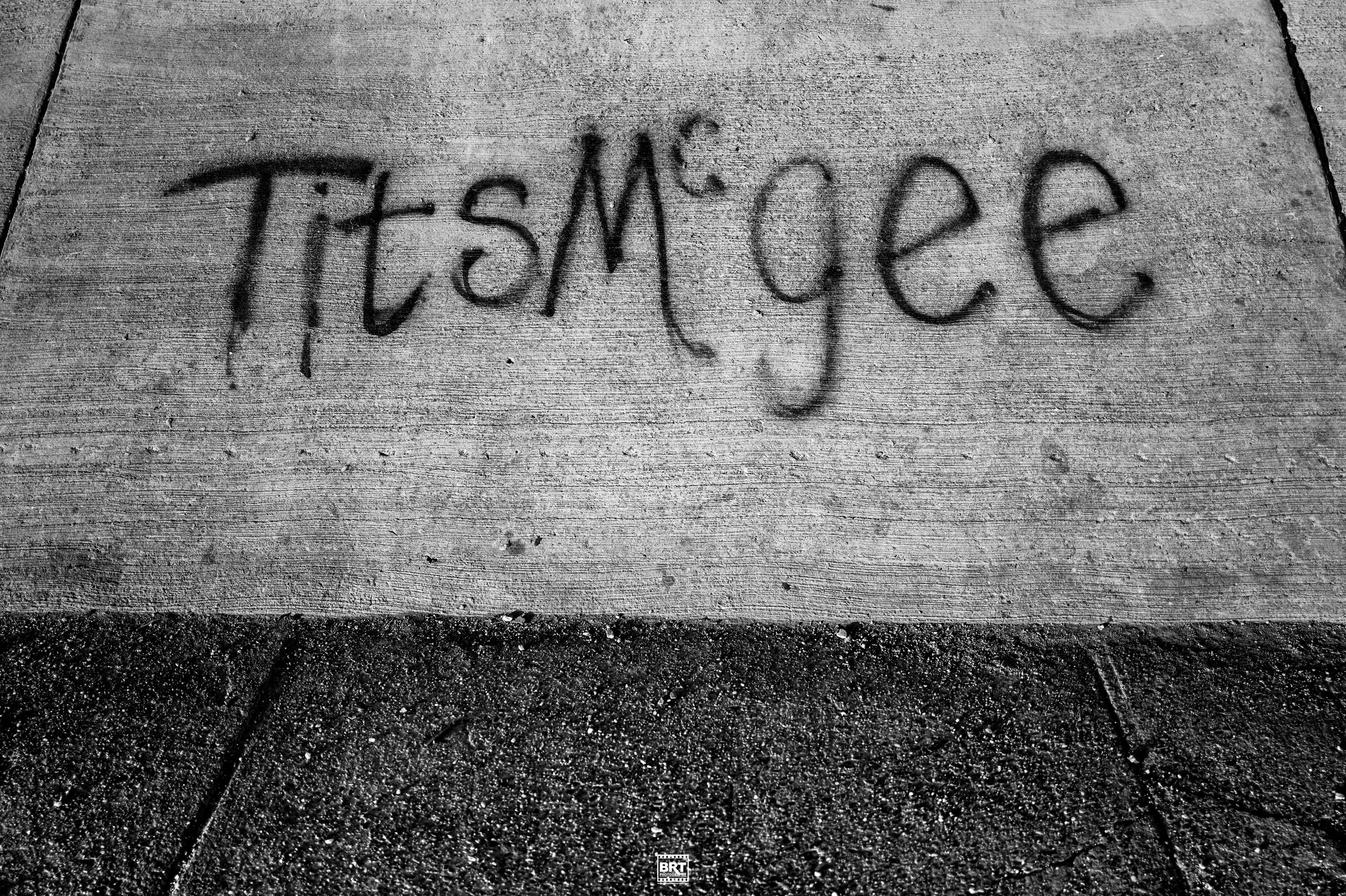 L1001683.jpg