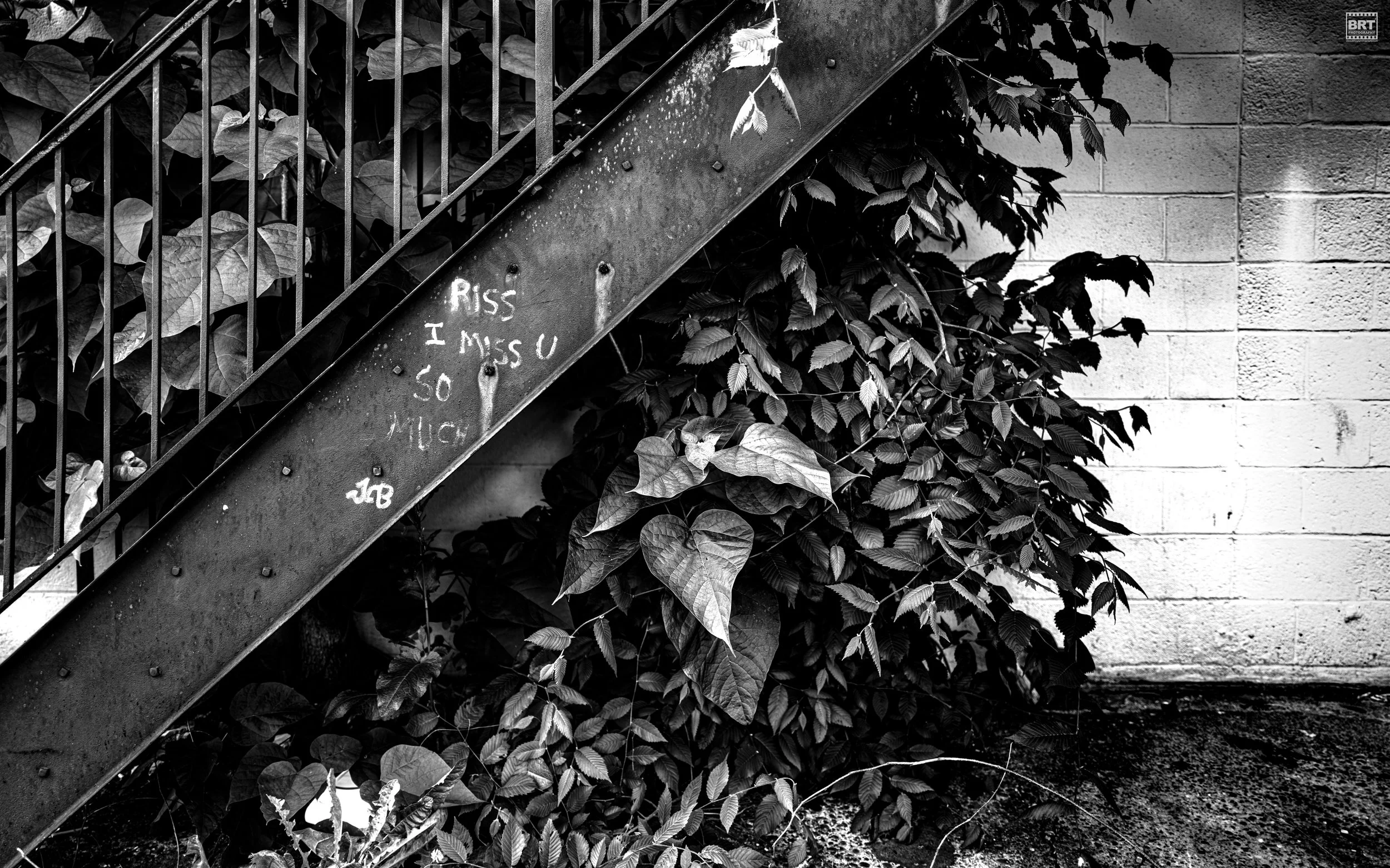 L1001564.jpg