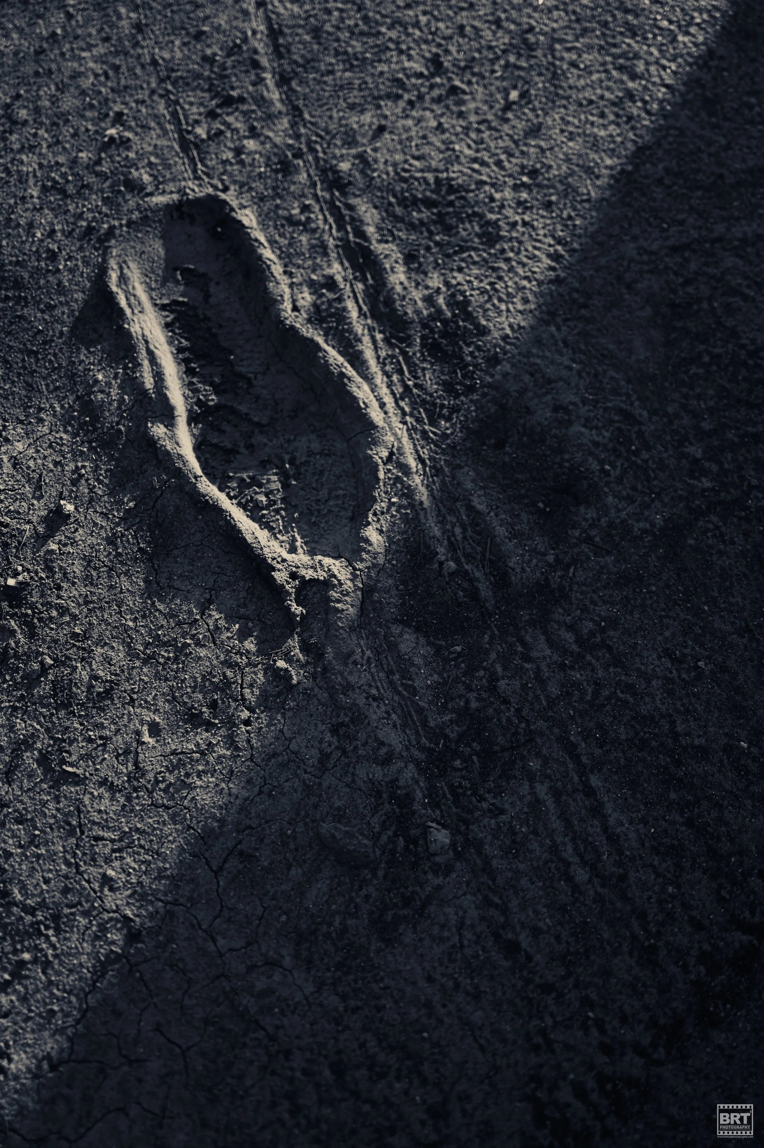 L1010410.jpg