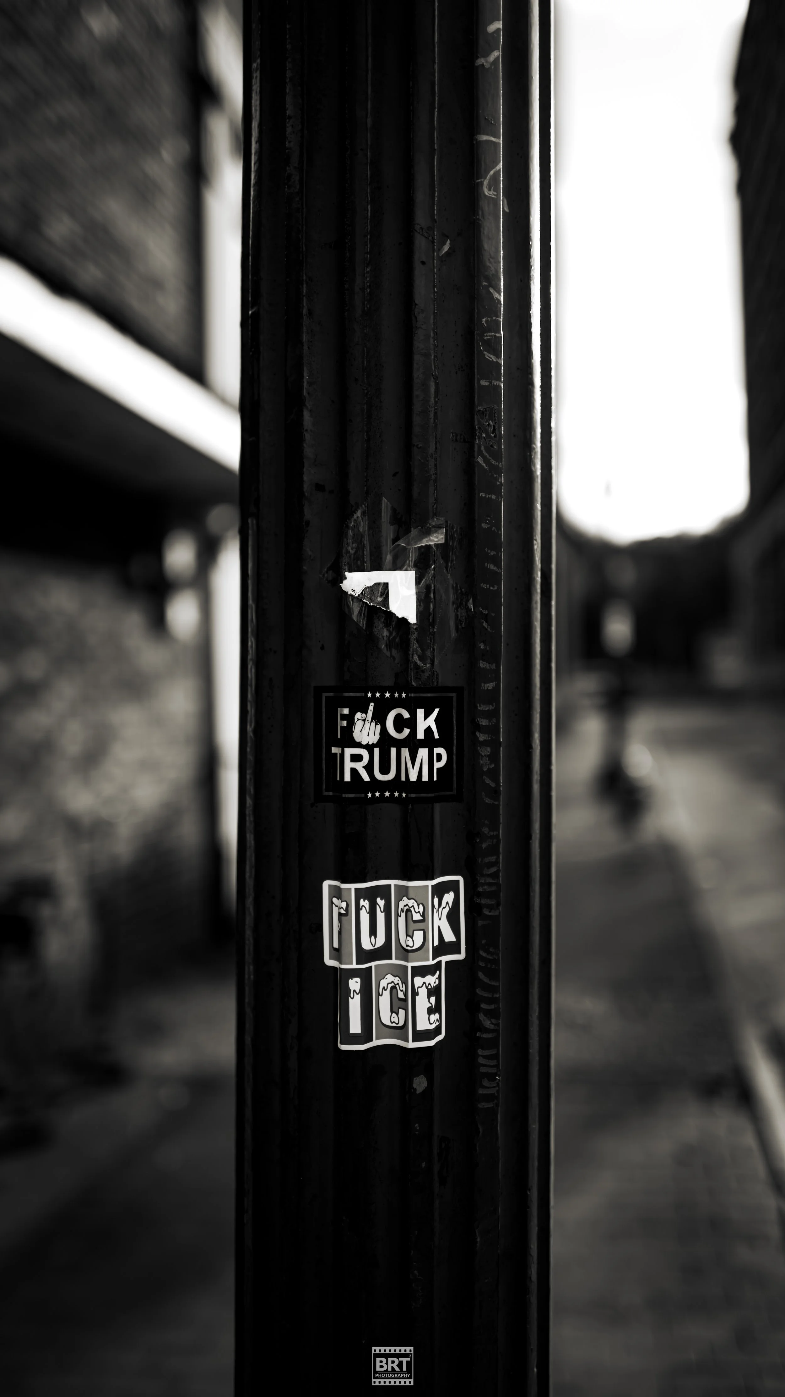 L1001248.jpg