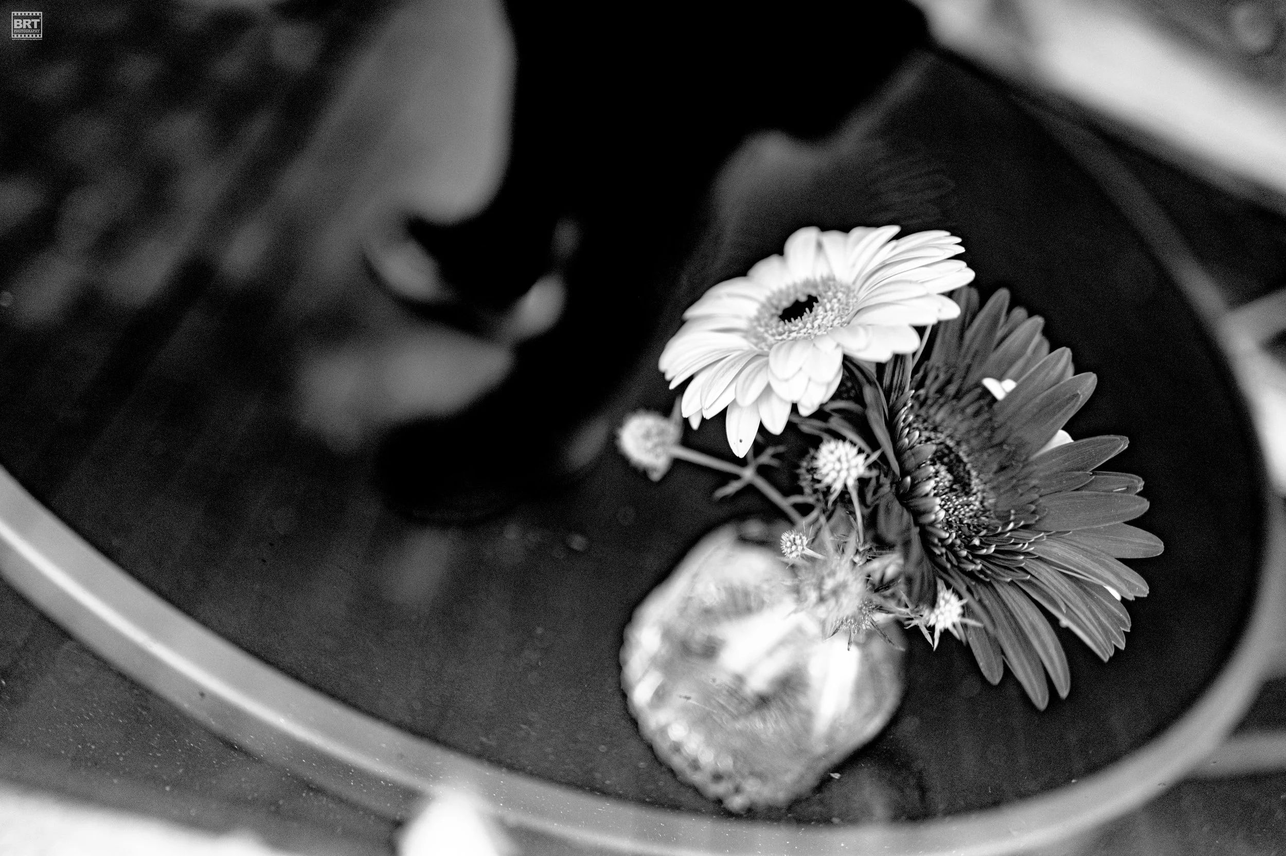 L1010590.jpg