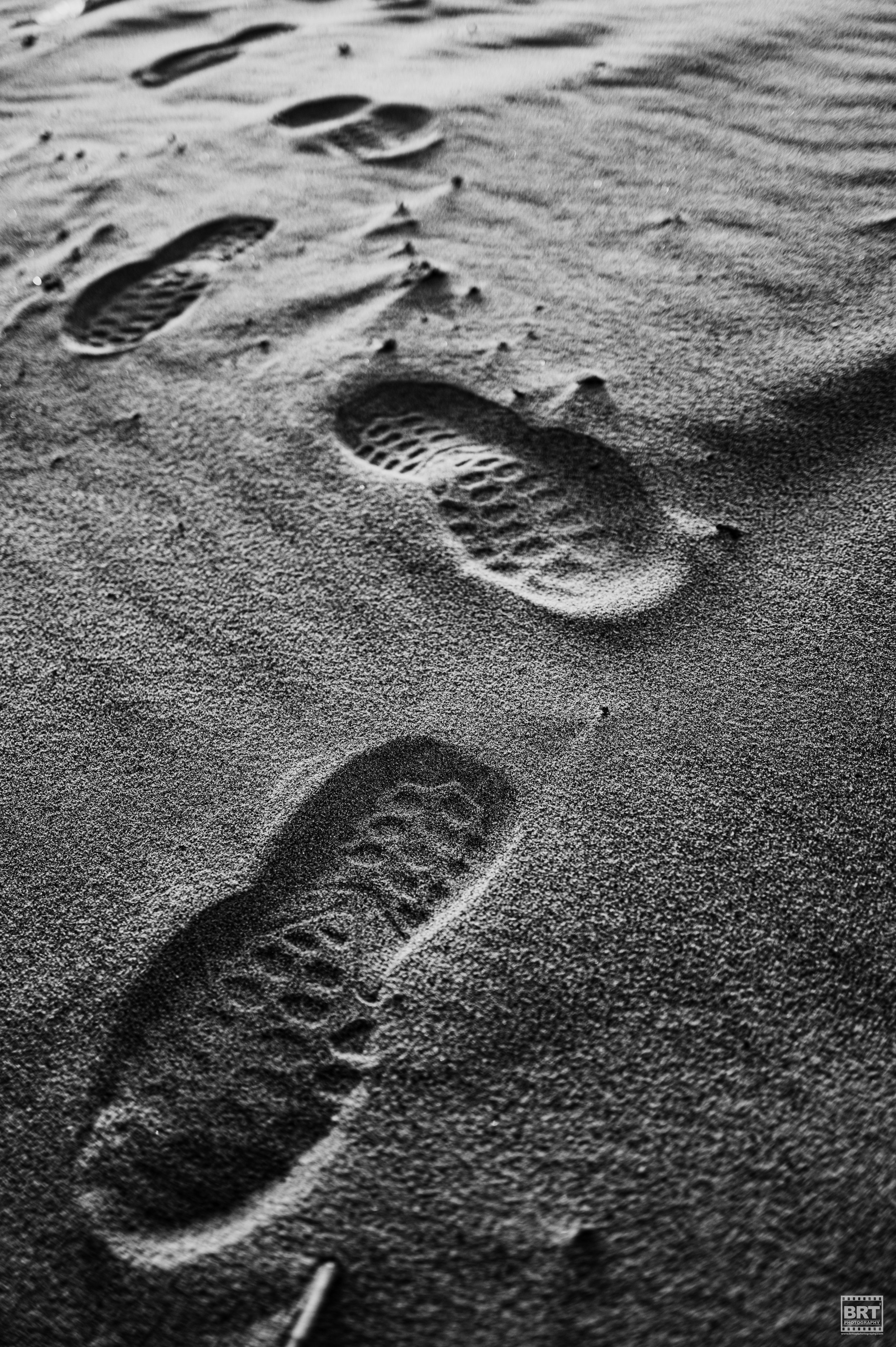 L1001652.jpg