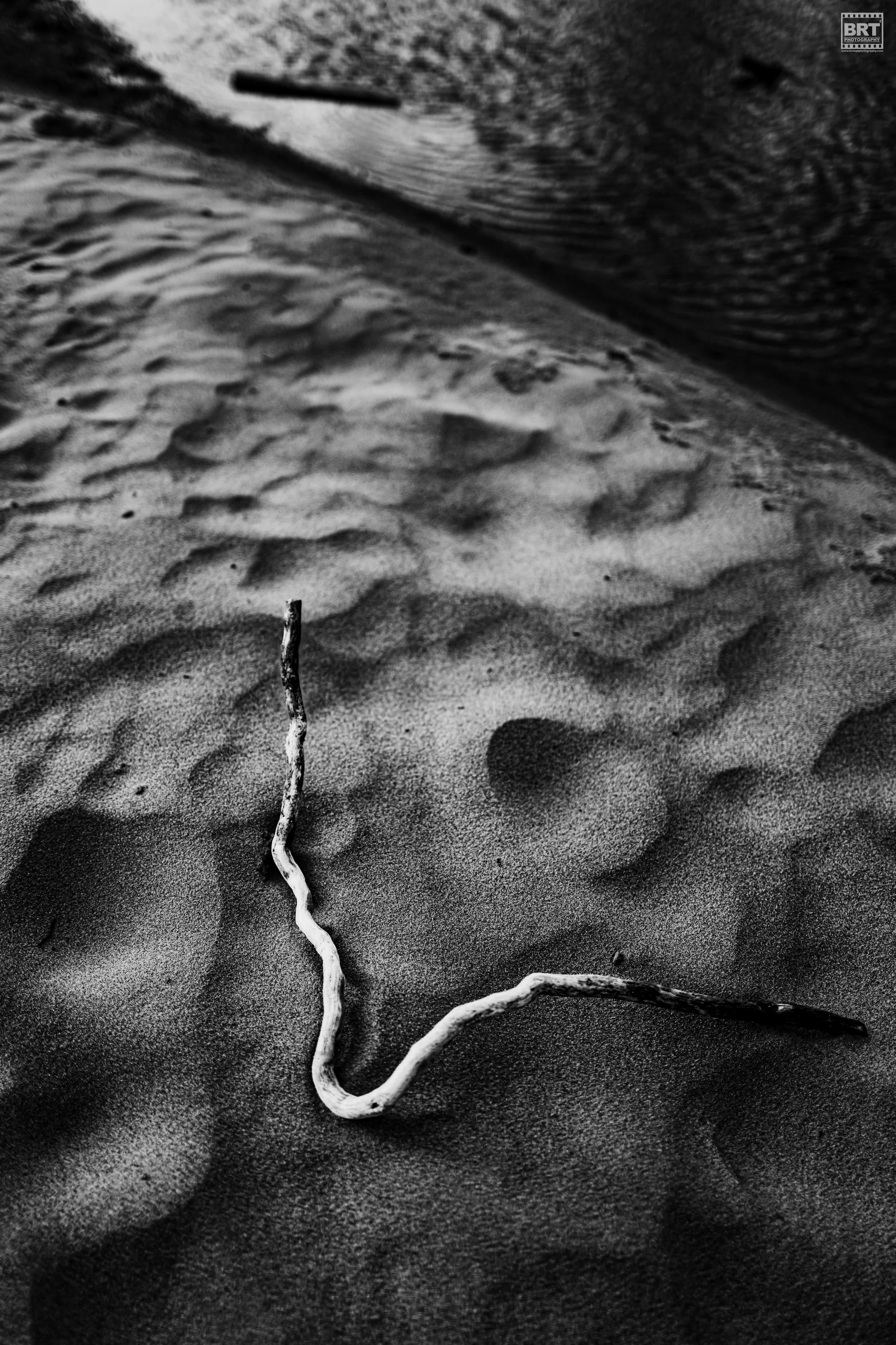 L1001654.jpg