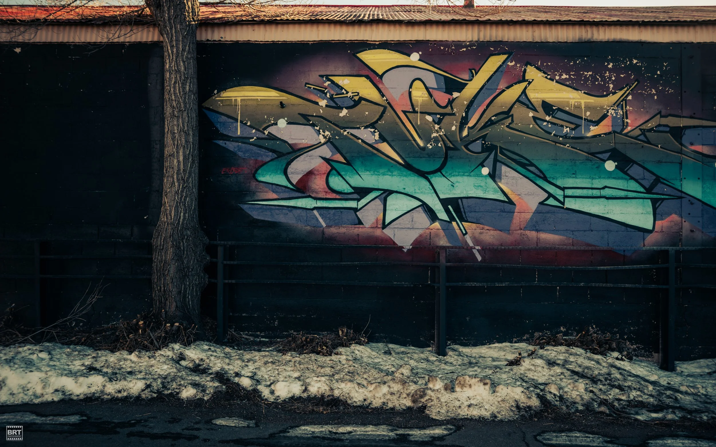 Graffiti art on a wall depicting abstract shapes in yellow, green, black, red, and white colors, with a tree trunk in front of it and some snow on the ground.