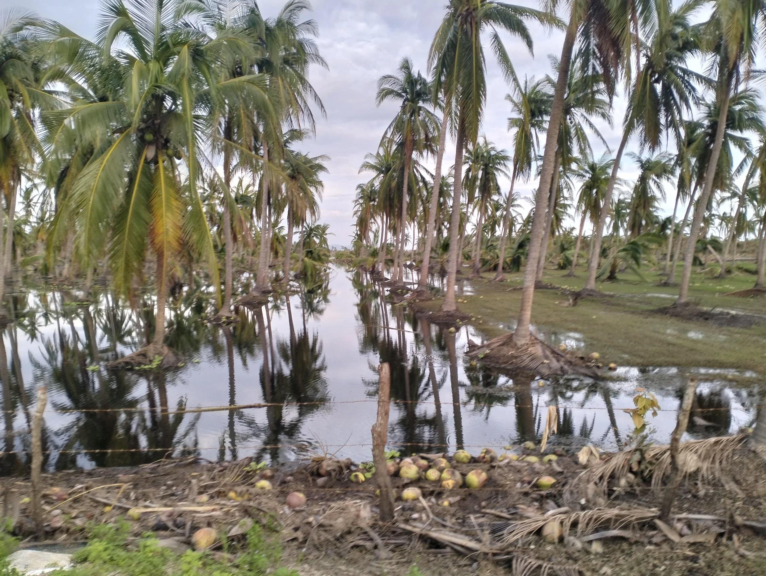 Agua Escondido: Sentido del Espacio, Cambio Climático y Migración en la Costa Chica, México (2025)