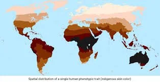 Significance of Evolution, Reproductive Fitness and Cultural Adaptation in Skin Coloration (2014)</span>