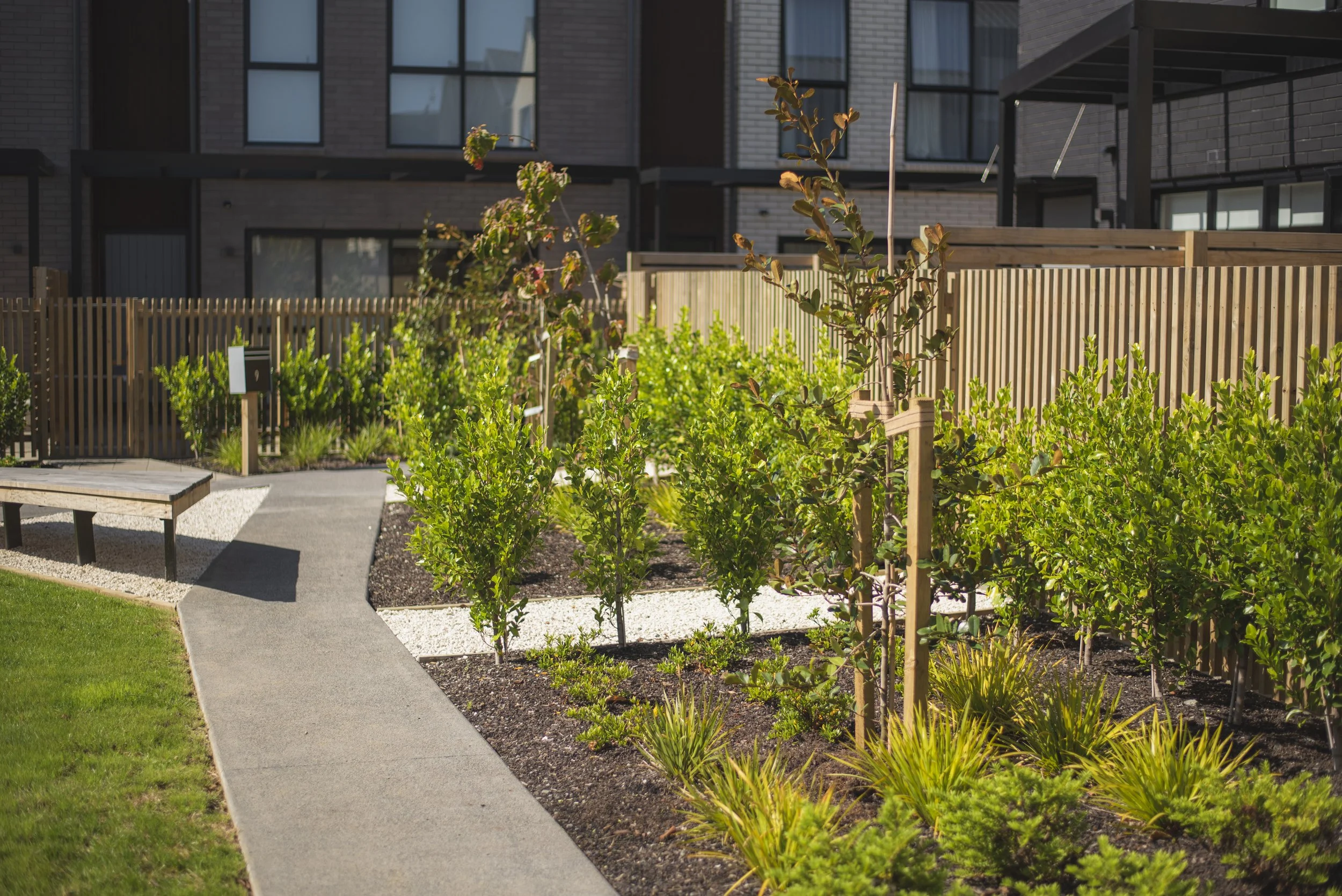 Ace Landscapes _LIL9820.jpg
