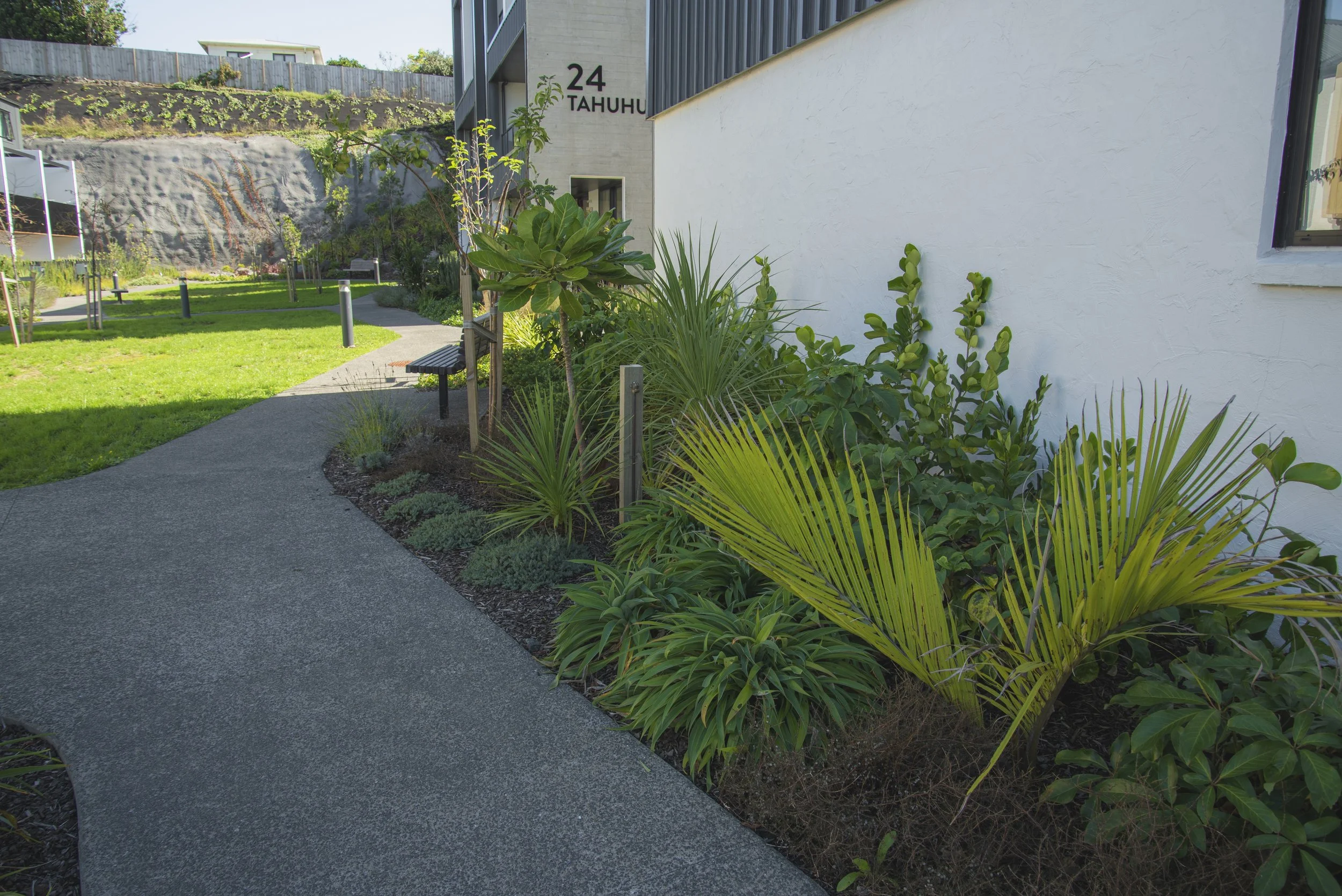 Ace Landscapes _LIL9887.jpg