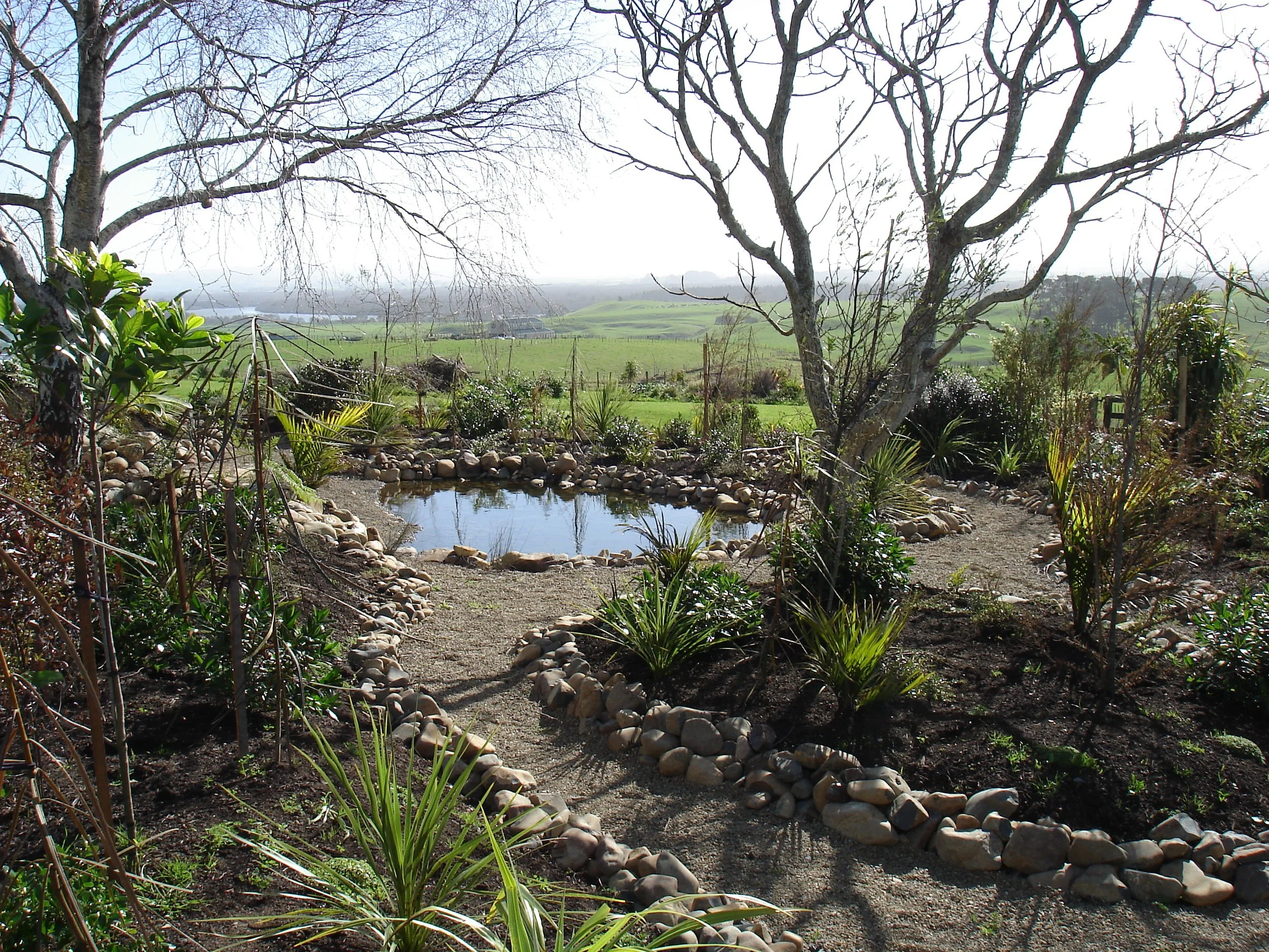 Ace Landscapes 8 GR - After.JPG