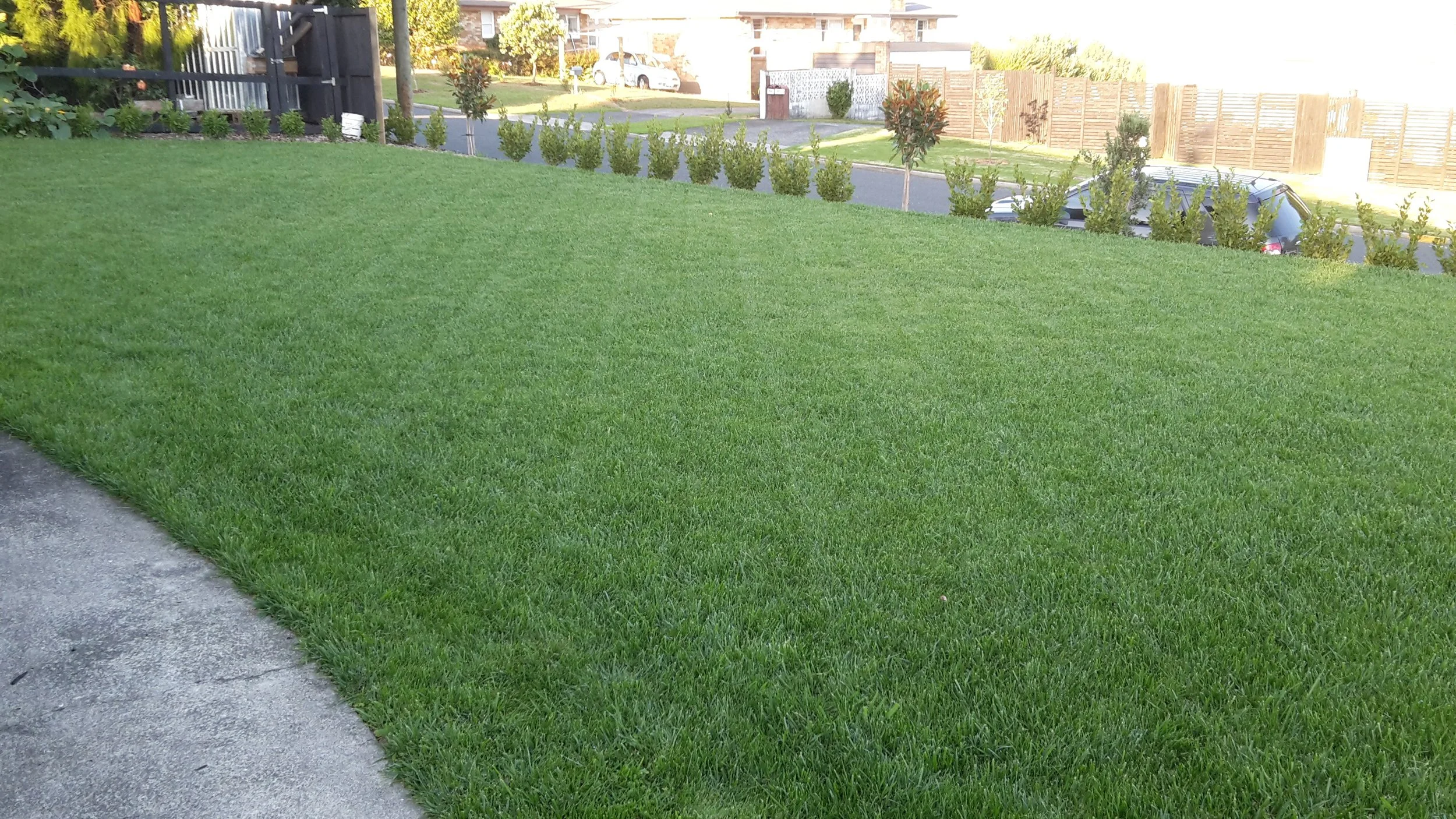 Ace Landscapes 20150313_183809.jpg
