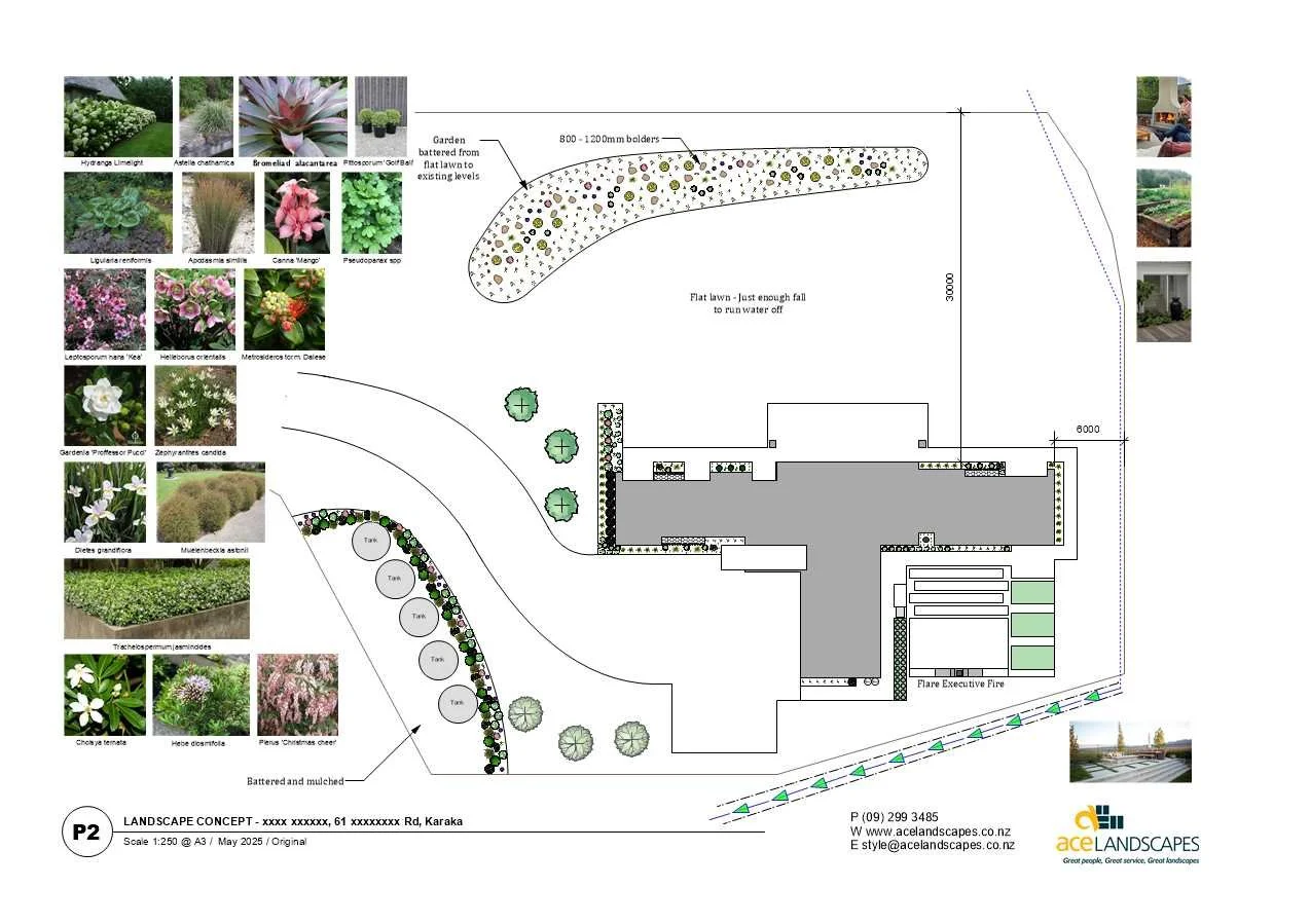 Ace Landscapes Landscape Plan 2.jpg