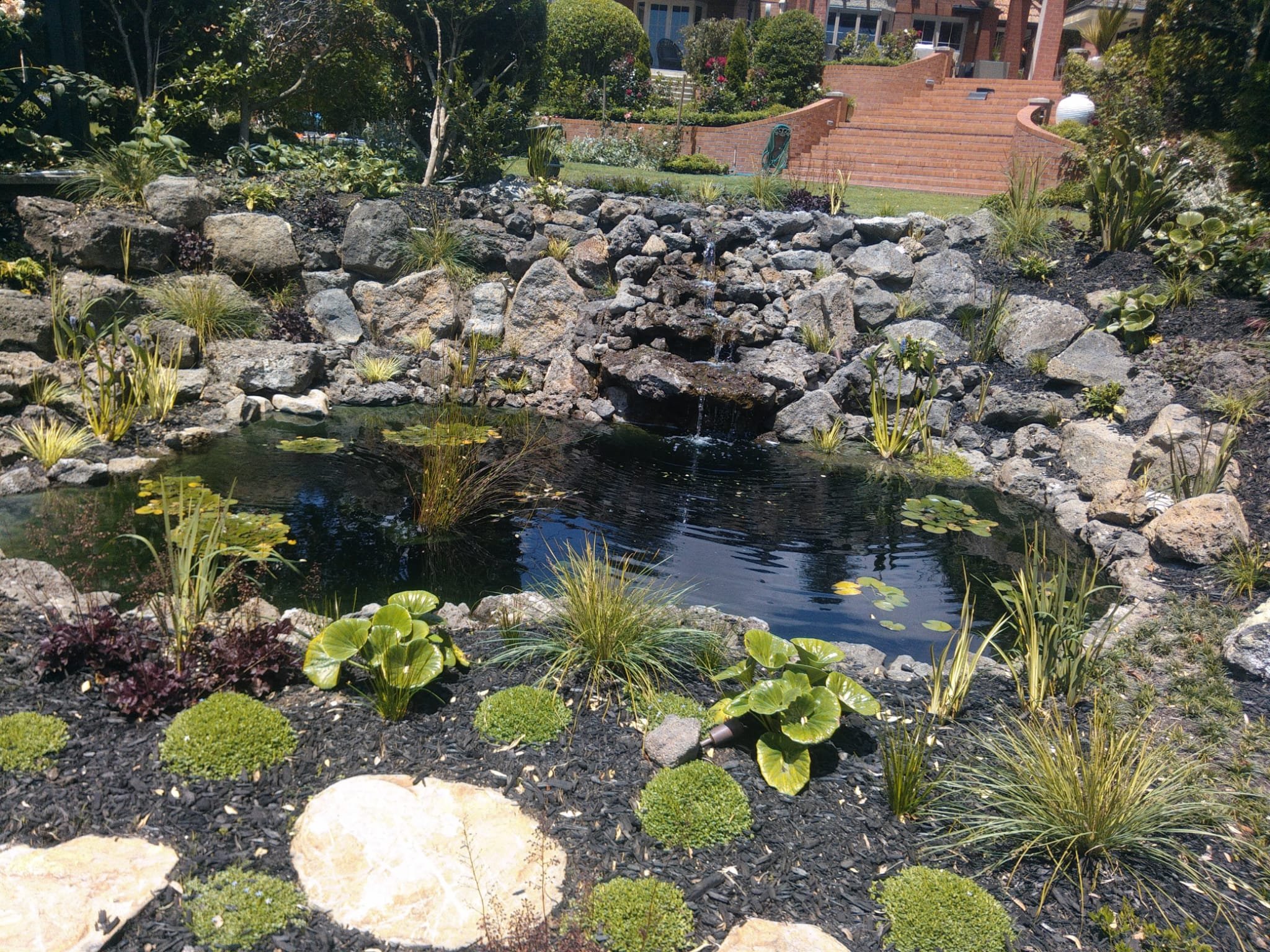 WhatsApp Image 2025-03-26 at 19.33.18_bd48200a.jpg