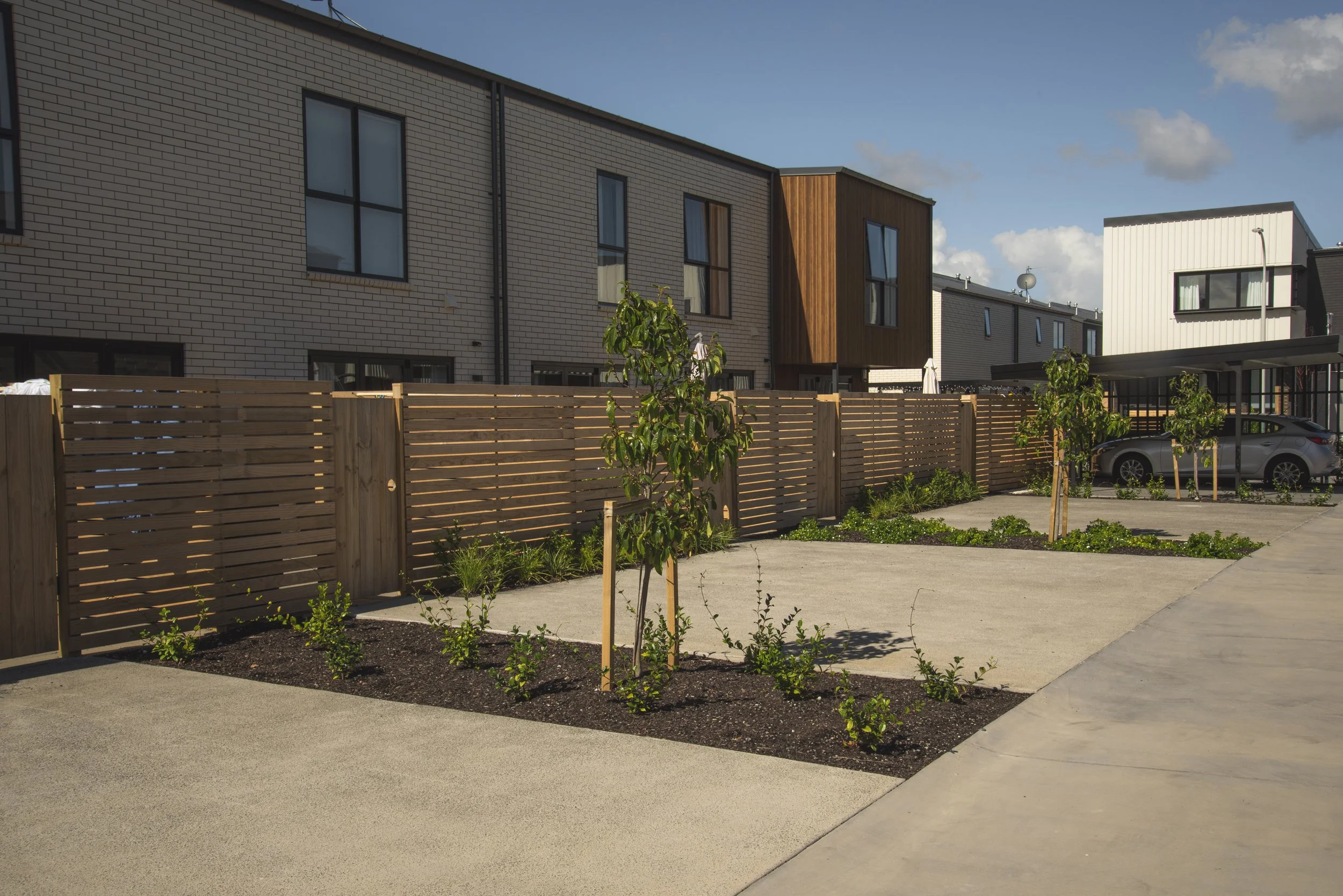 Ace Landscapes _LIL9730.jpg