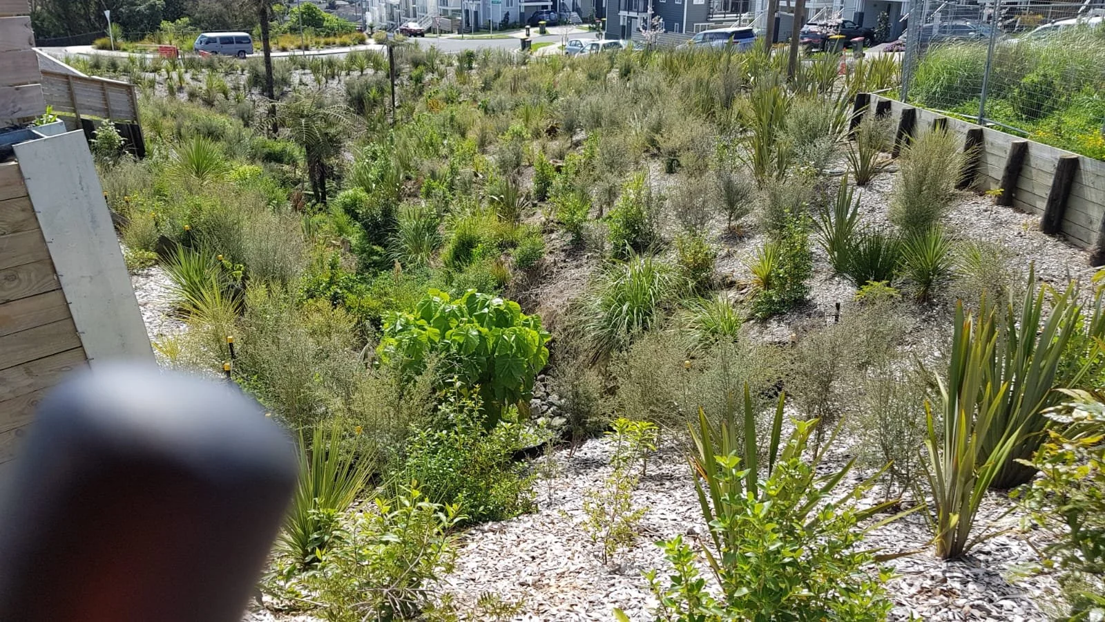 Ace Landscapes IMG-20181002-WA0009.jpg