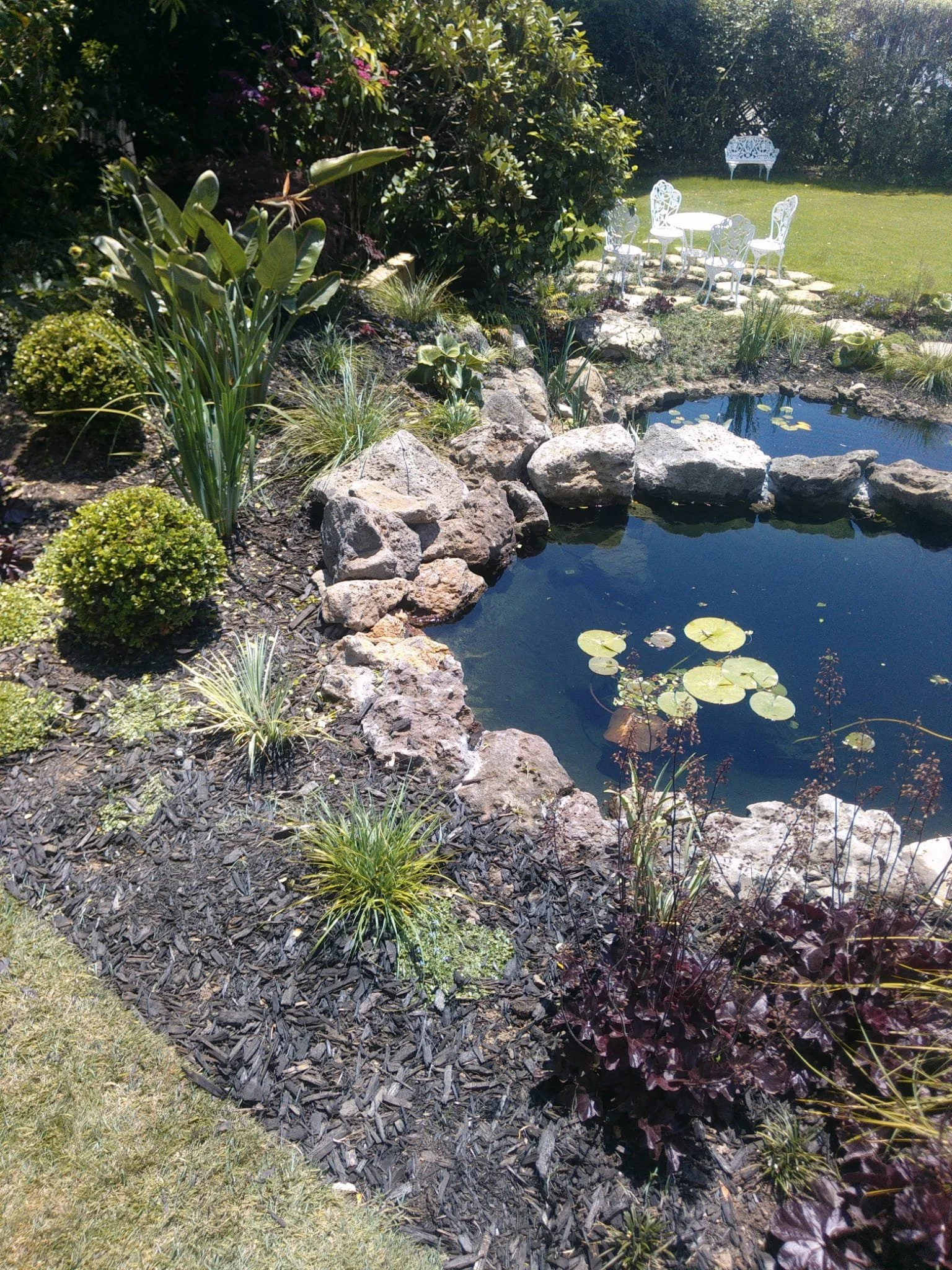 Ace Landscapes Pond.jpg
