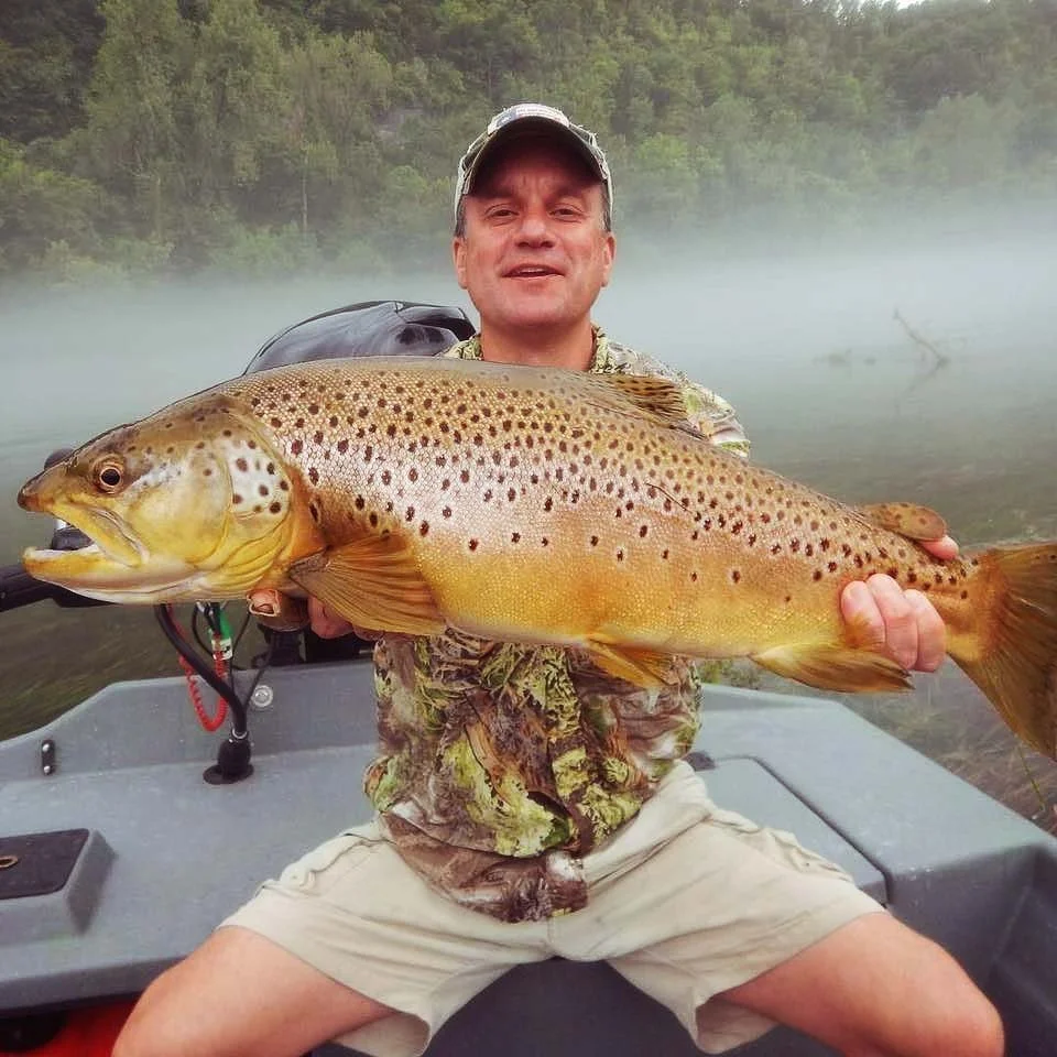 BrownTrout.jpg